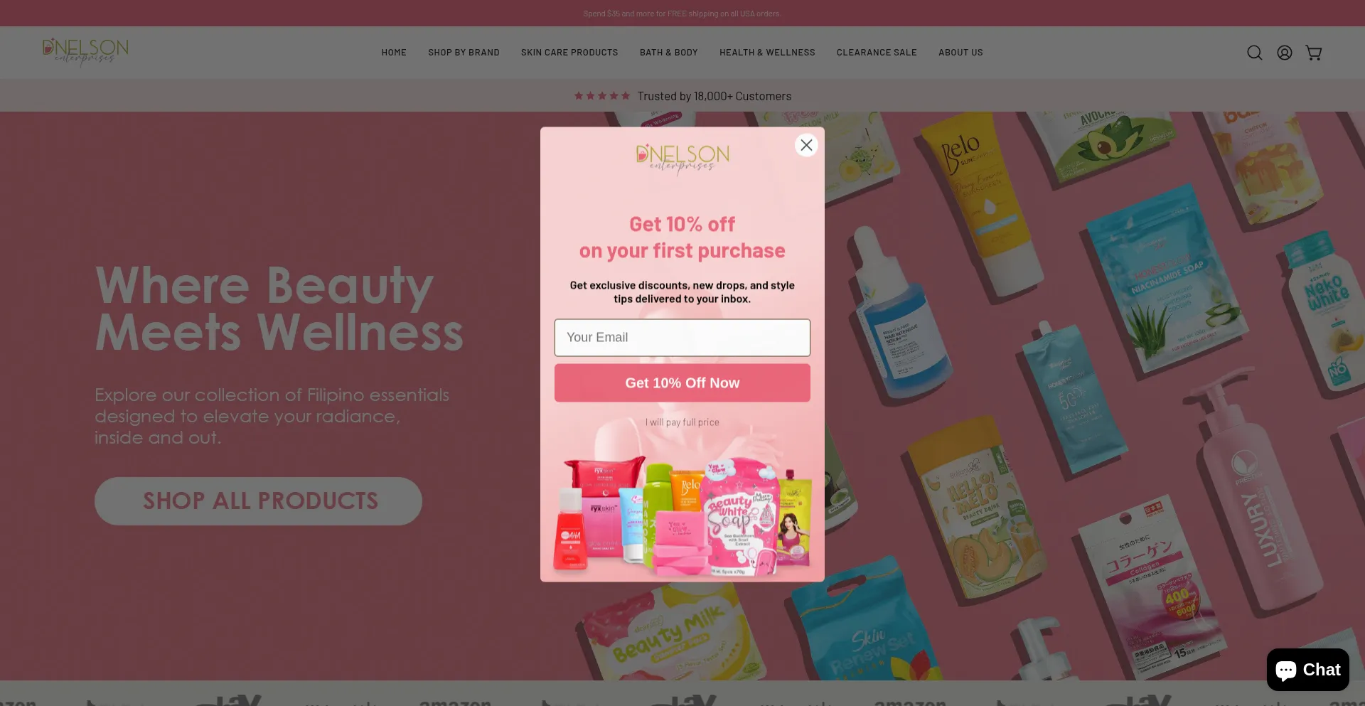 Website screenshot of Dnelsonenterprises.com