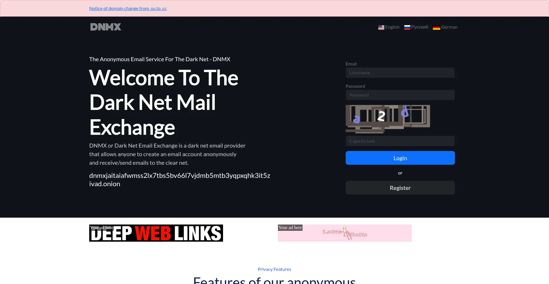 Website screenshot of Dnmx.cc