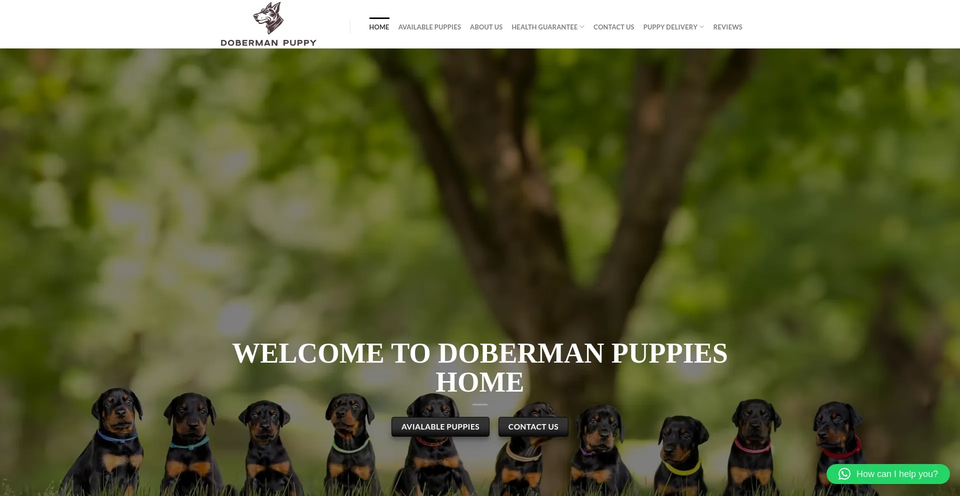 Website screenshot of Dobermannpuppy.com
