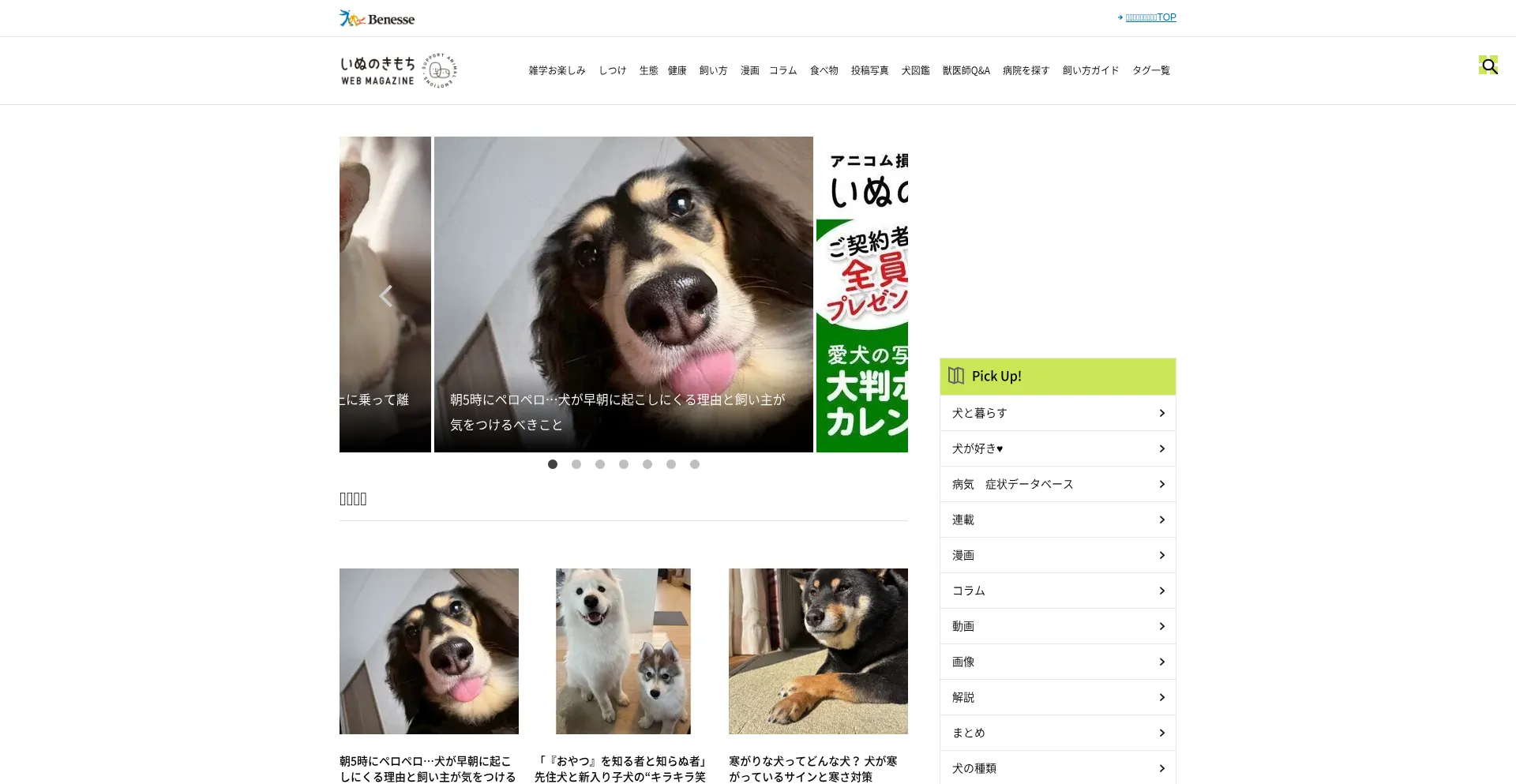 Dog.benesse.ne.jp