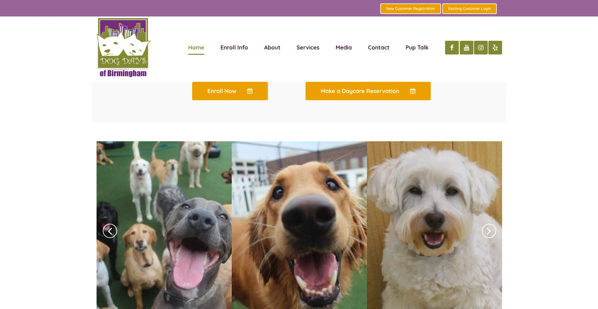 Dogdaysofbirmingham.com 安全可靠吗？