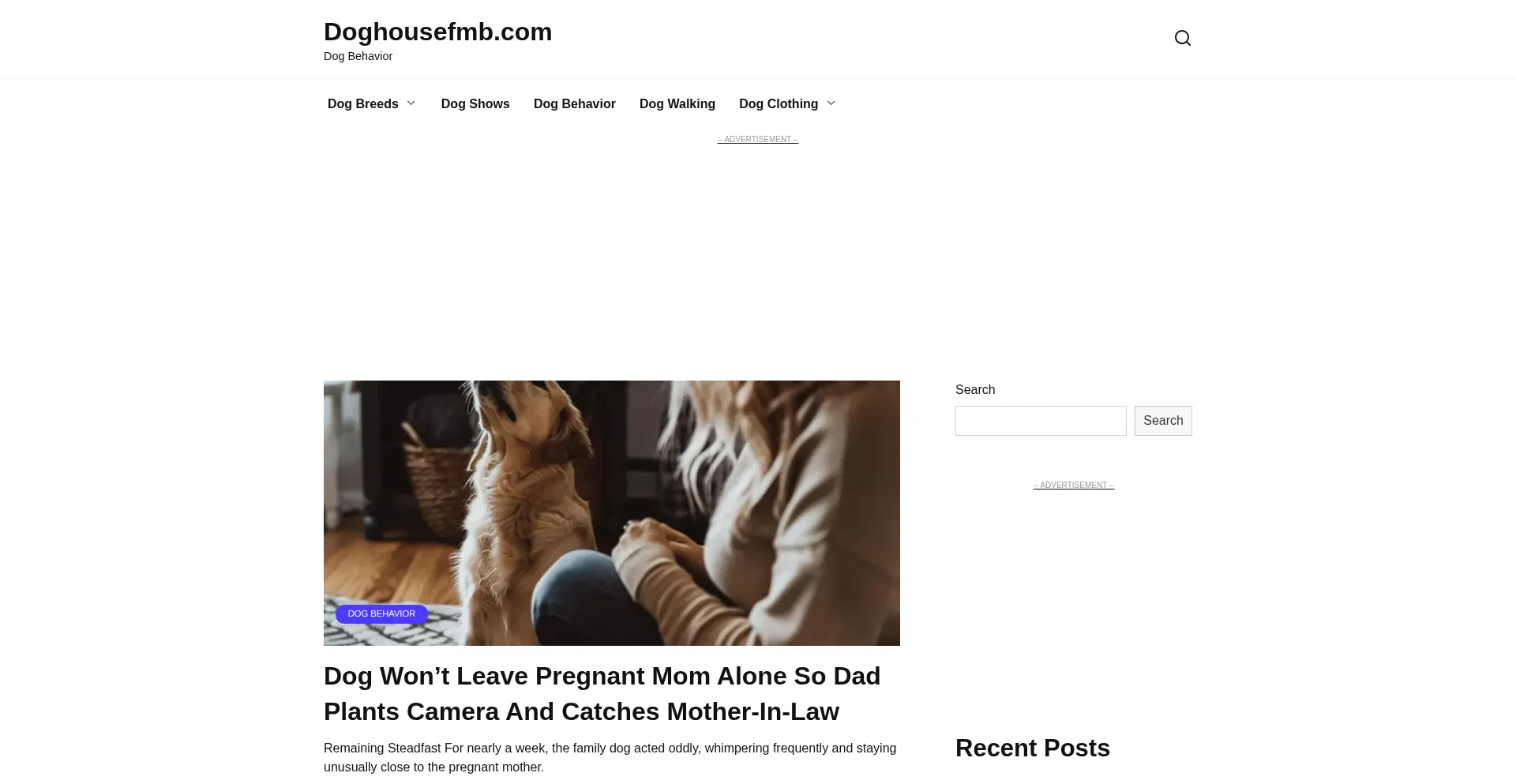 Website screenshot of Doghousefmb.com