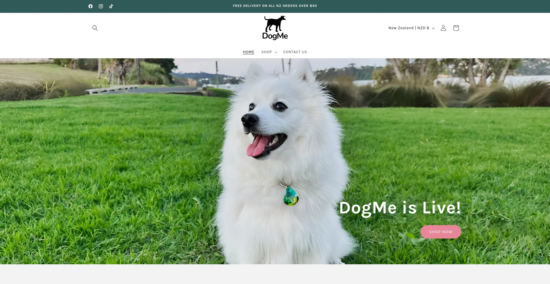Website screenshot of Dogme.co