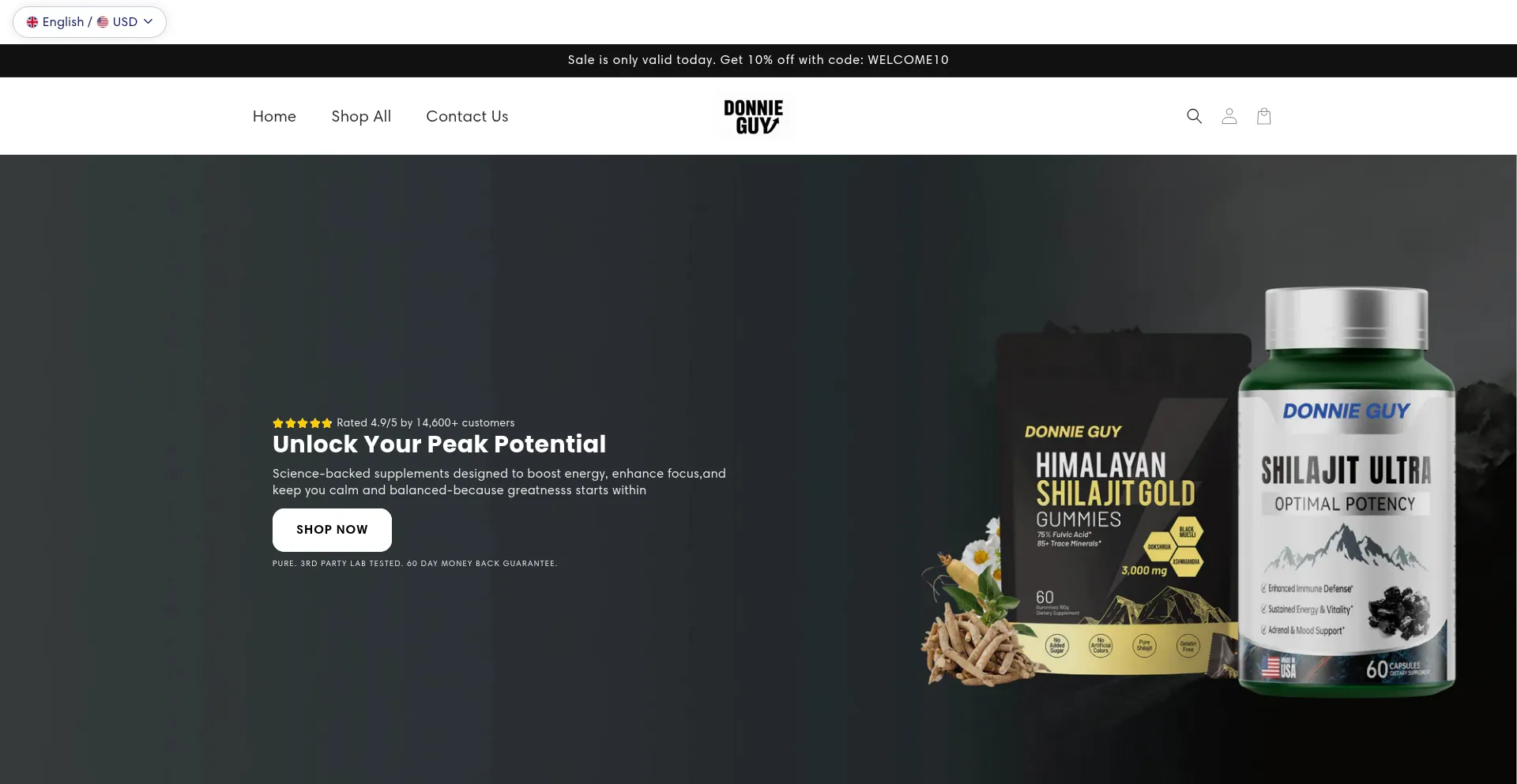 Website screenshot of Donnieguy.com