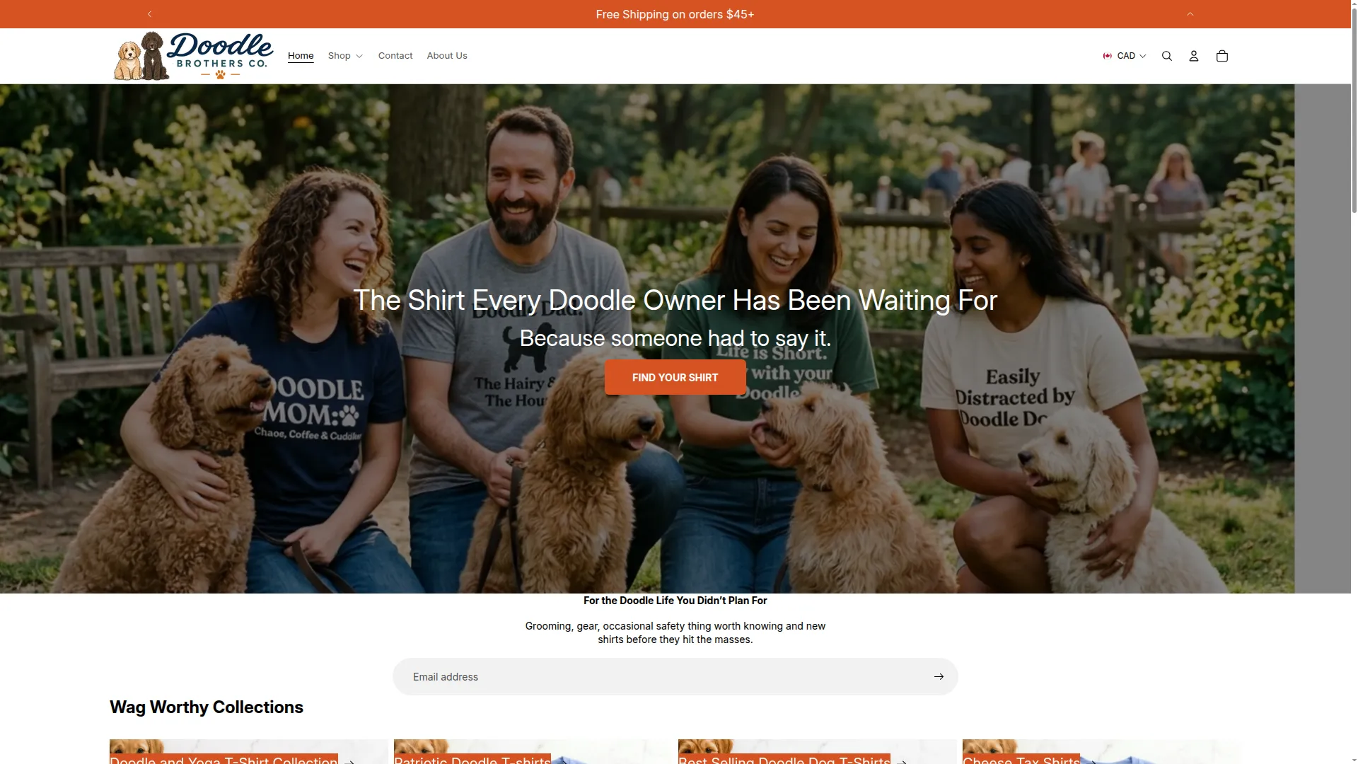 Doodlebrothersco.com