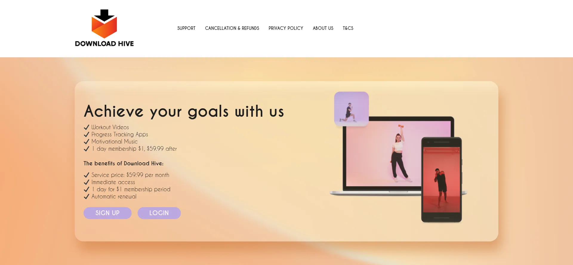 Website screenshot of Download-hive.com