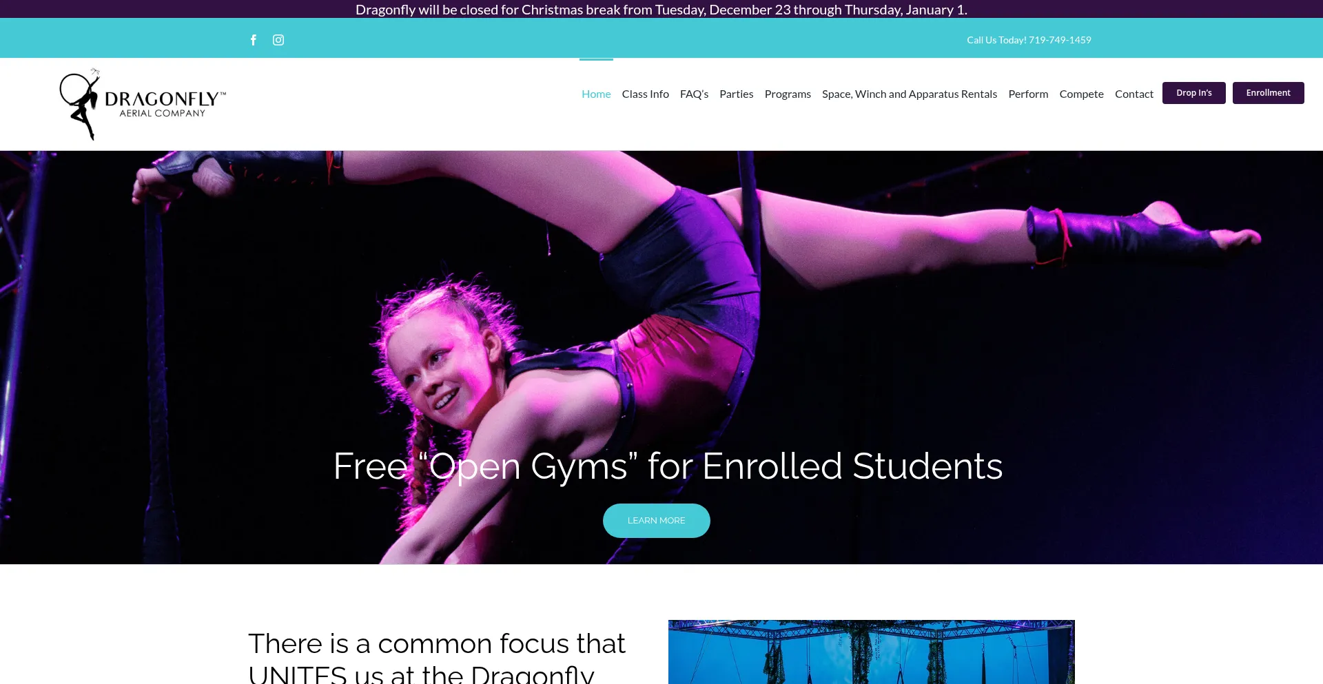 Dragonflyaerialco.com