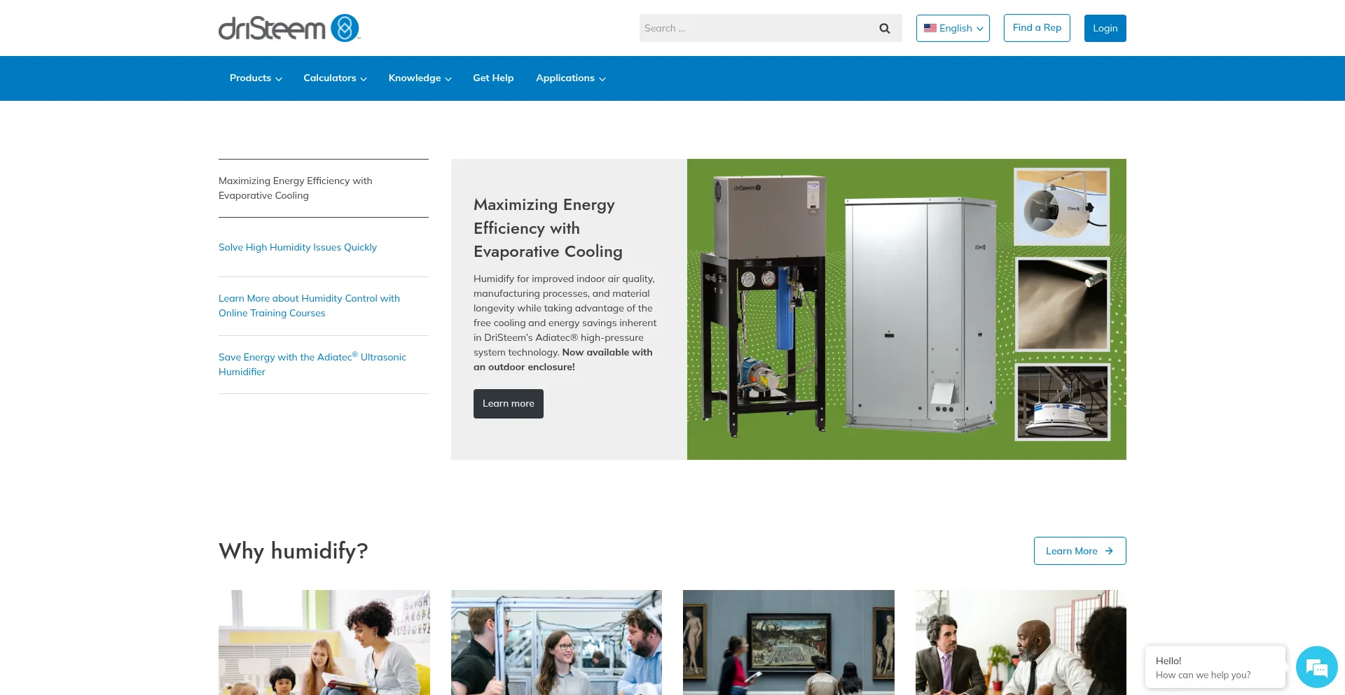 Website screenshot of Dristeem.com