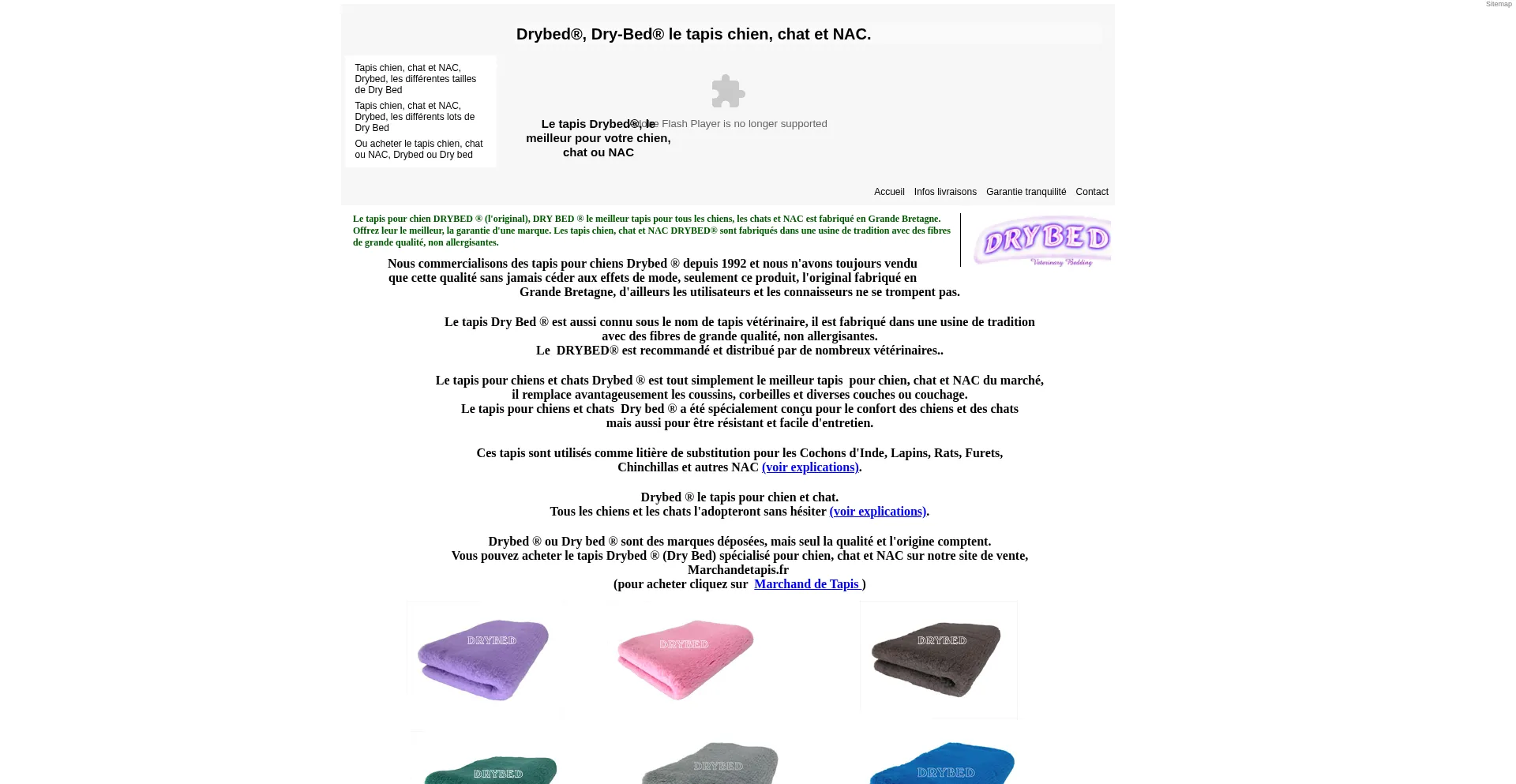 Website screenshot of Drybed.fr