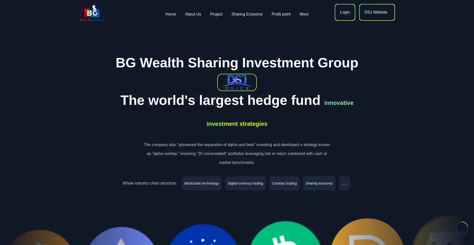 Website screenshot of Dsjzn.com