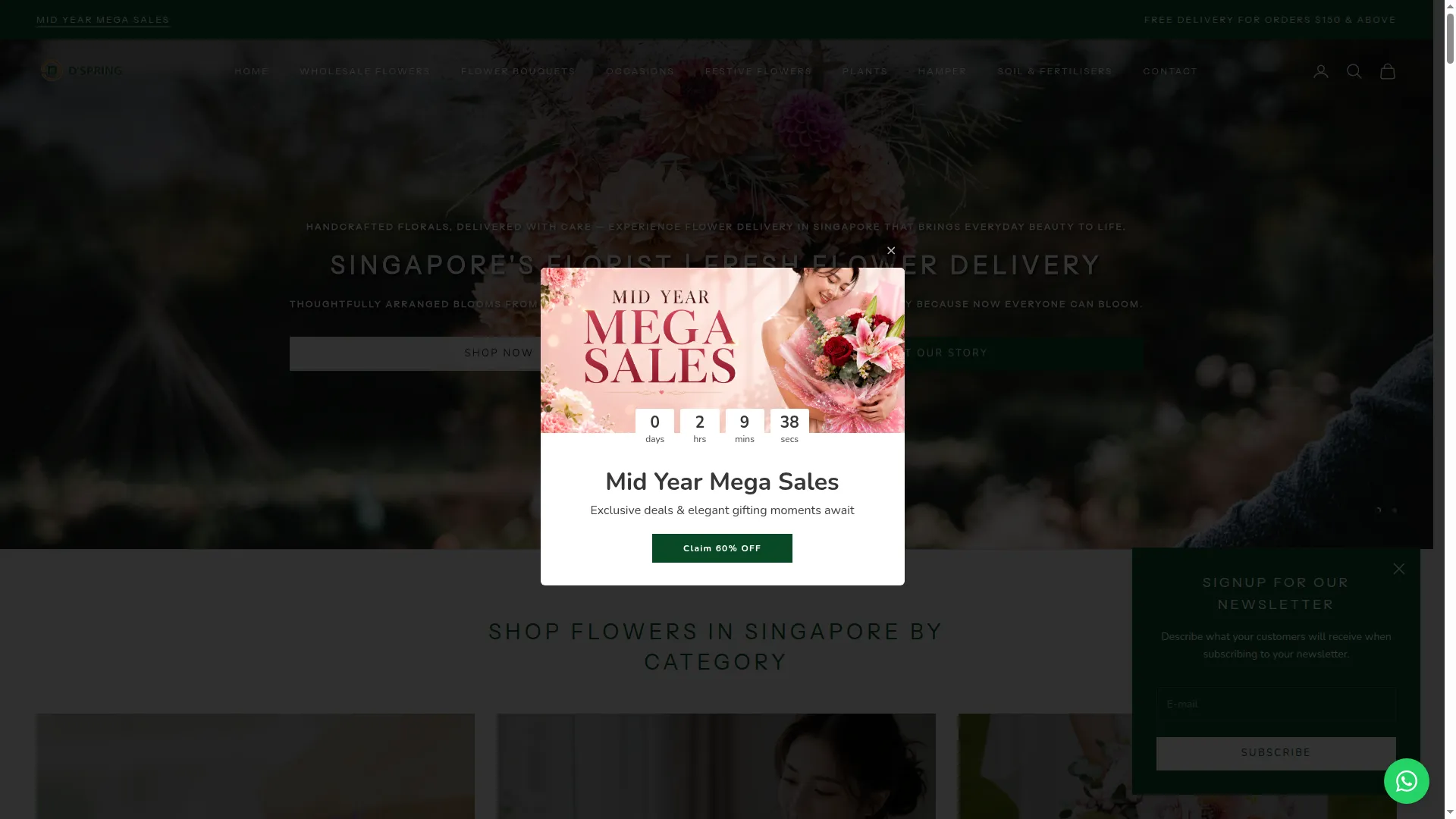 Dspring.co