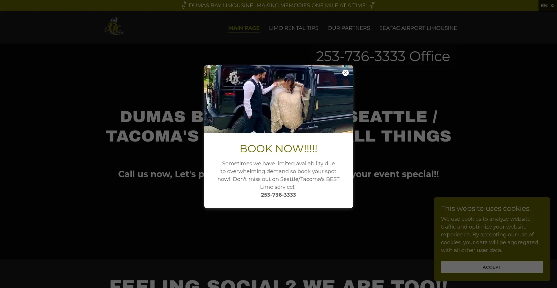 Dumasbaylimousine.com