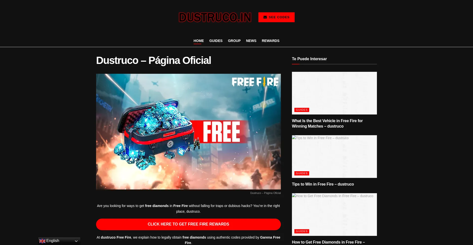 Website screenshot of Dustruco.in