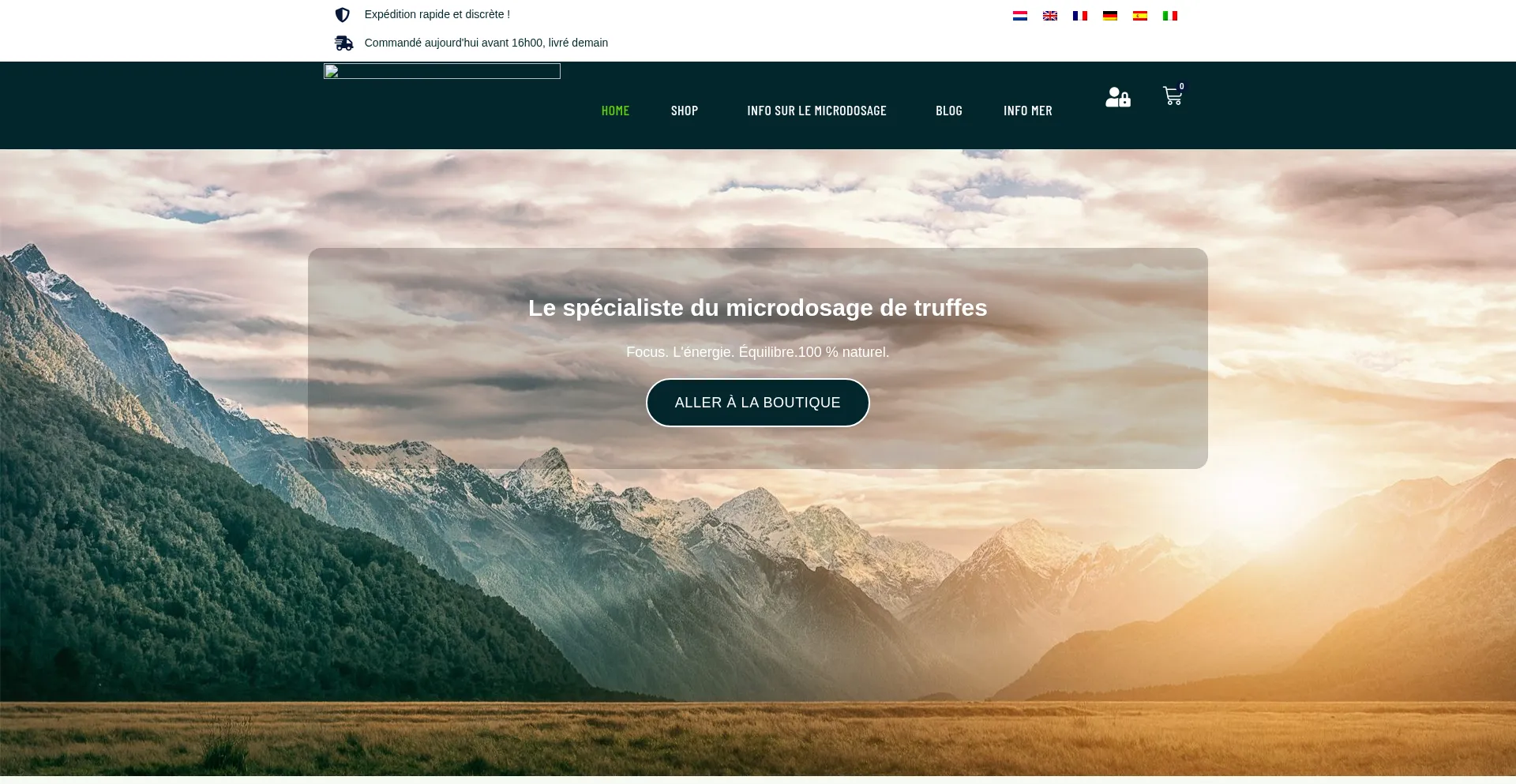 Website screenshot of Dutchmicrodosing.fr