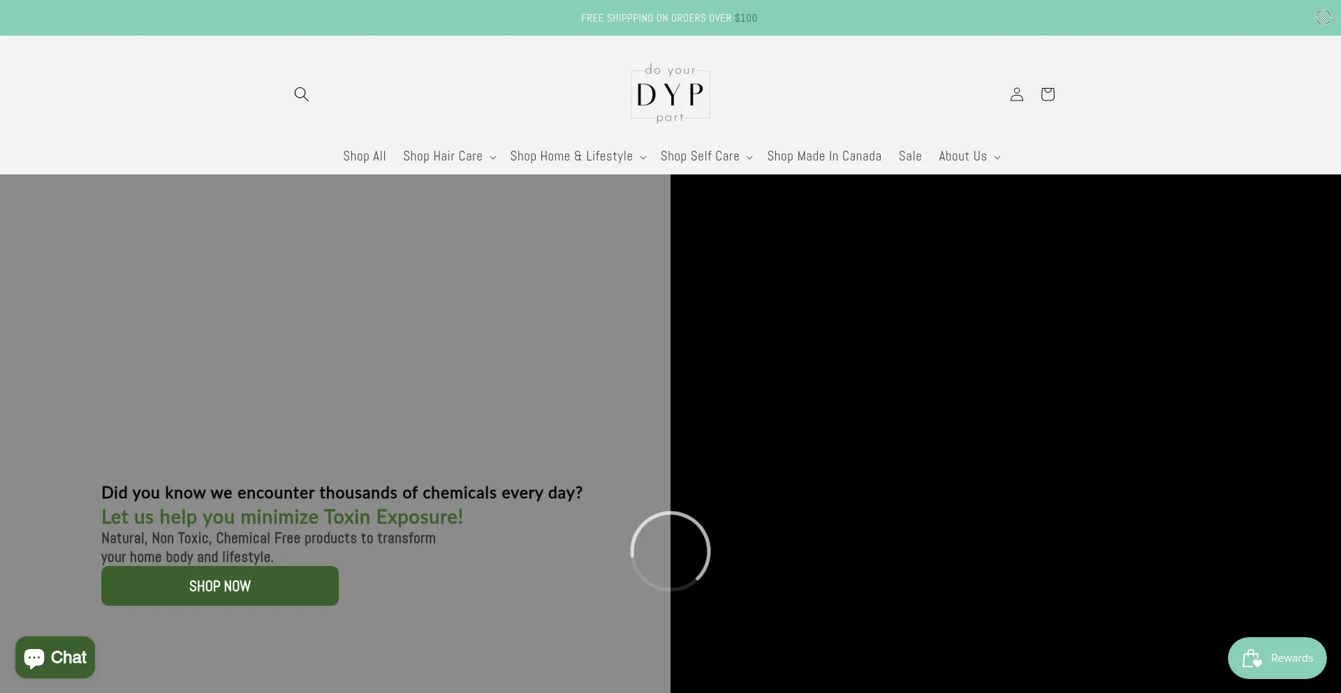 Website screenshot of Dypshop.ca