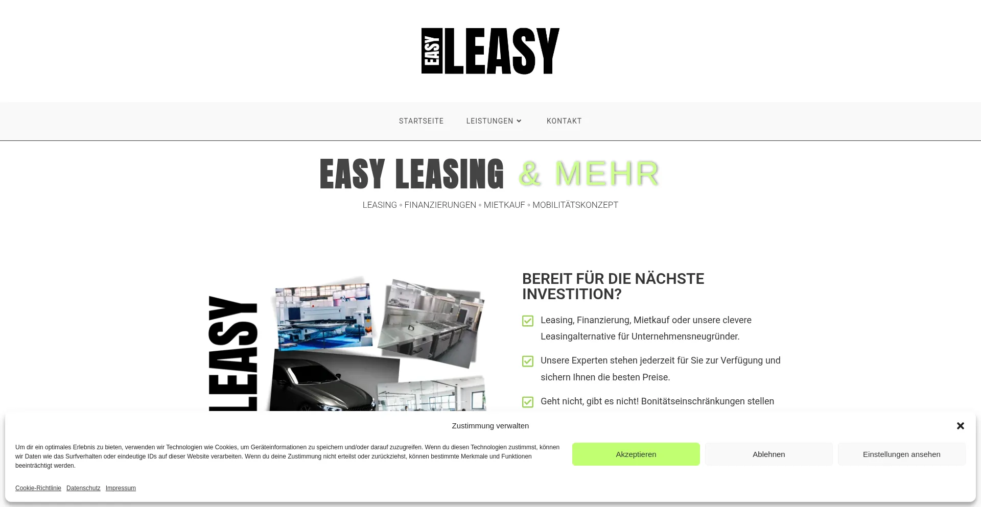 Website screenshot of Easyleasy.info