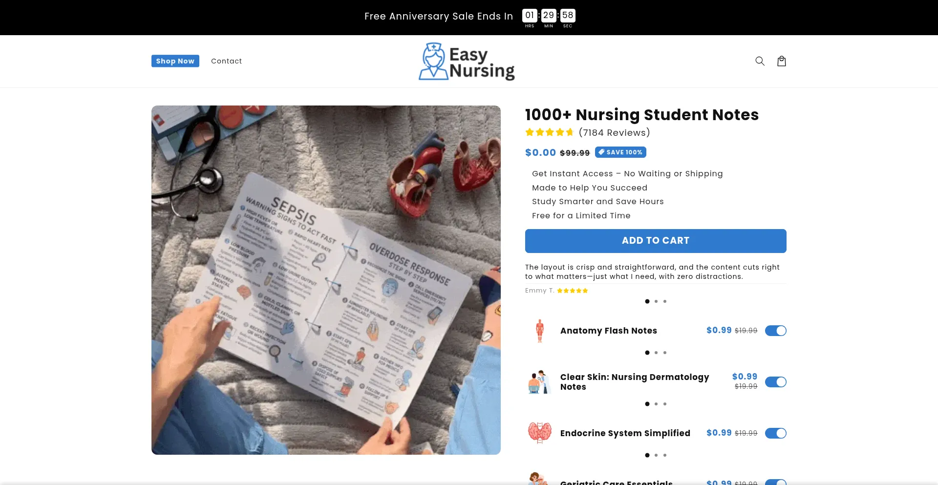 Website screenshot of Easynursing.store