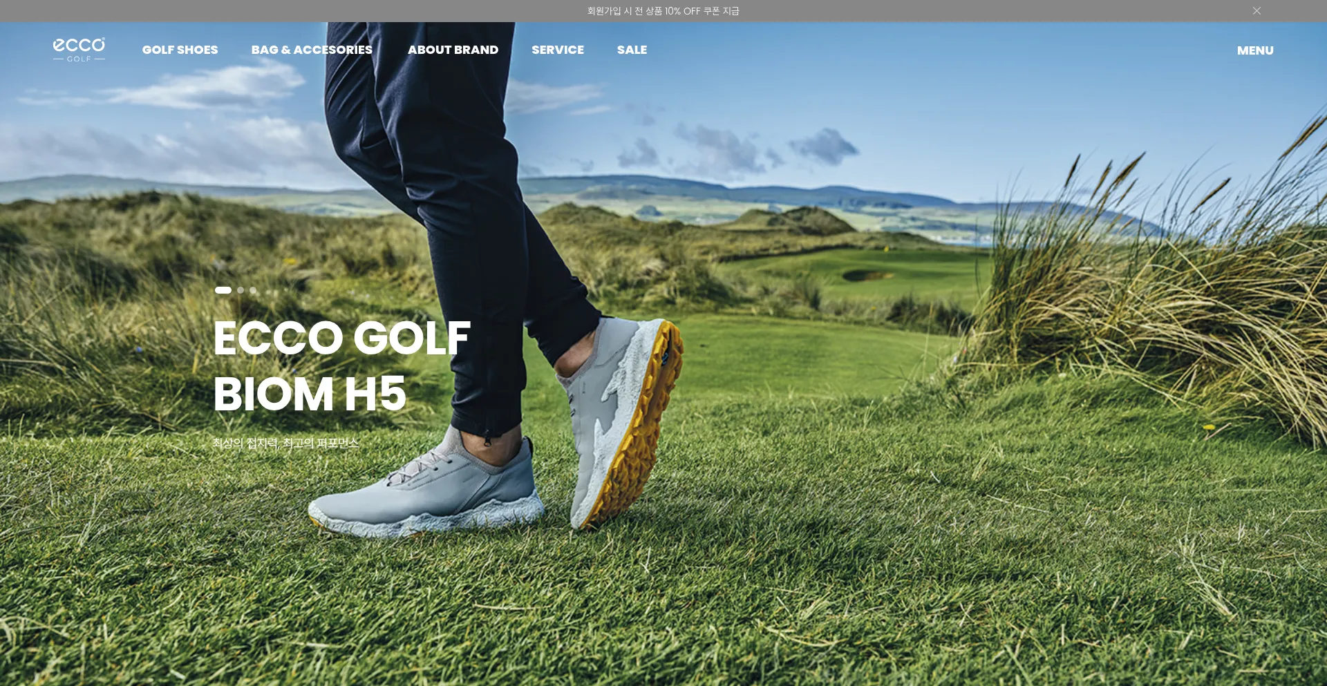 Website screenshot of Eccogolf.co.kr