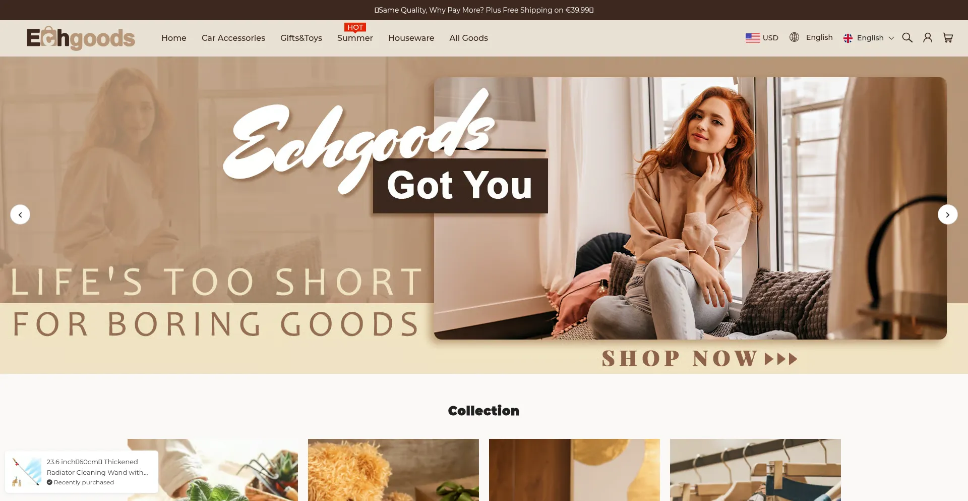 Website screenshot of Echgoods.com