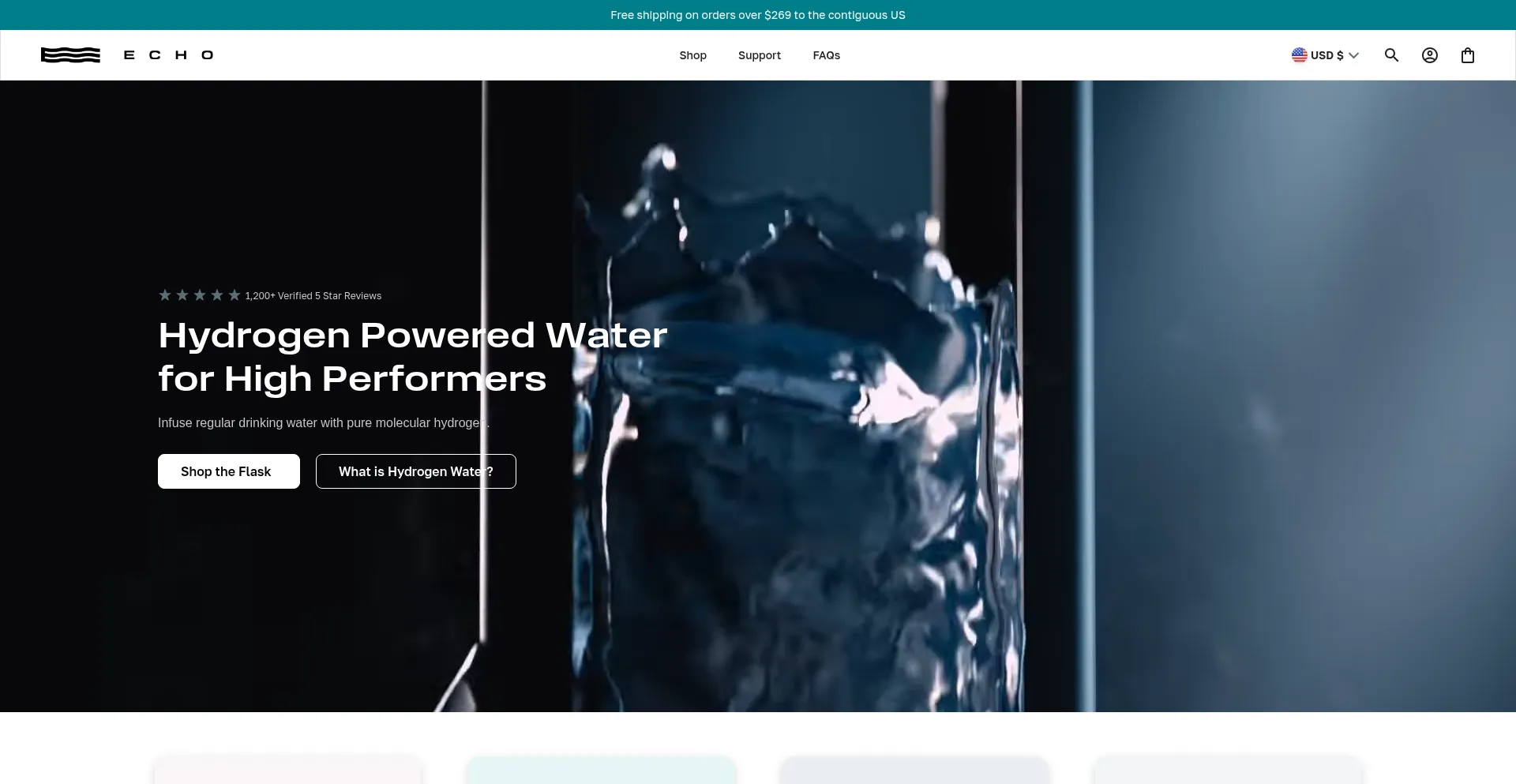Website screenshot of Echoflask.com