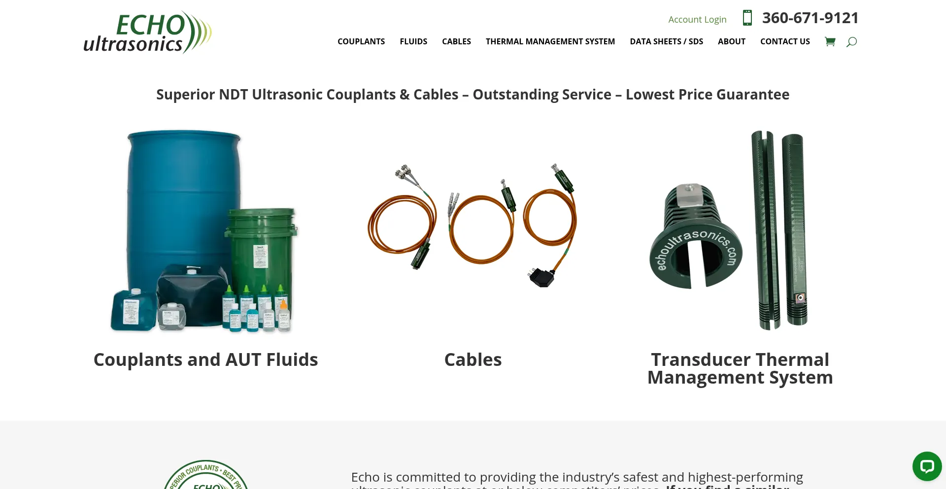 Website screenshot of Echoultrasonics.com