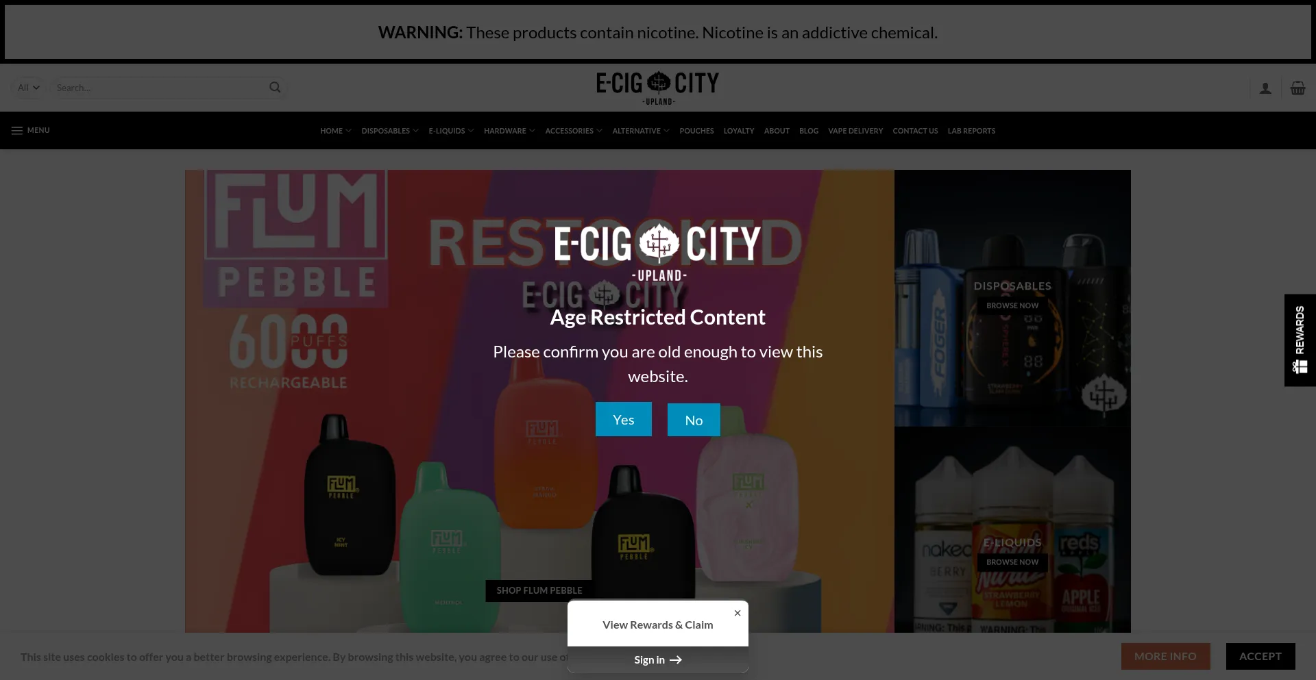 Website screenshot of Ecigcityupland.com