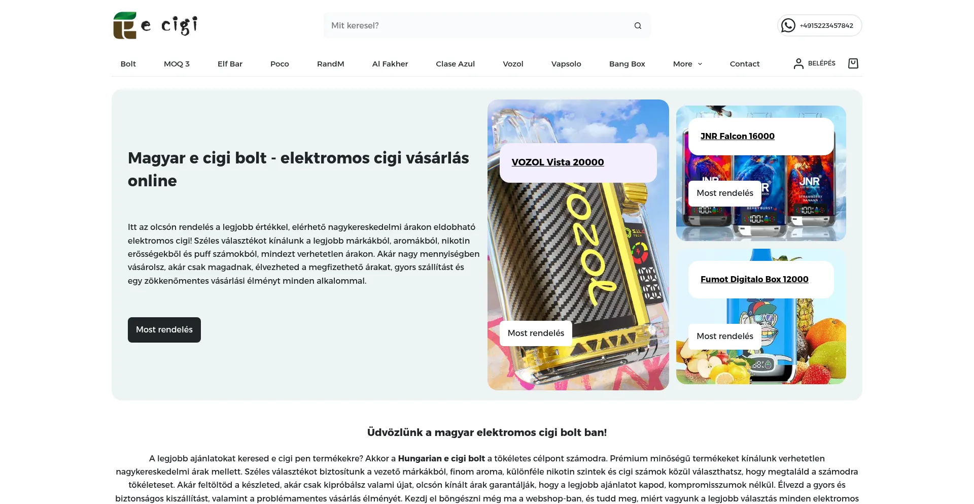Website screenshot of Ecigibolt.com