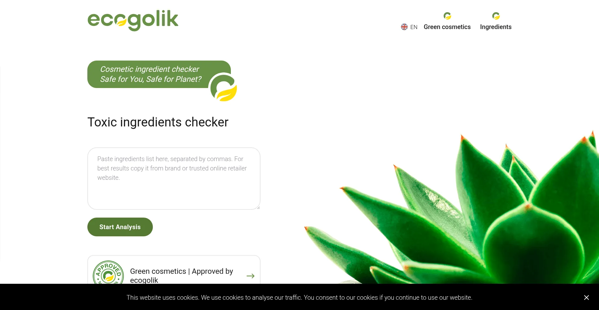 Website screenshot of Ecogolik.com