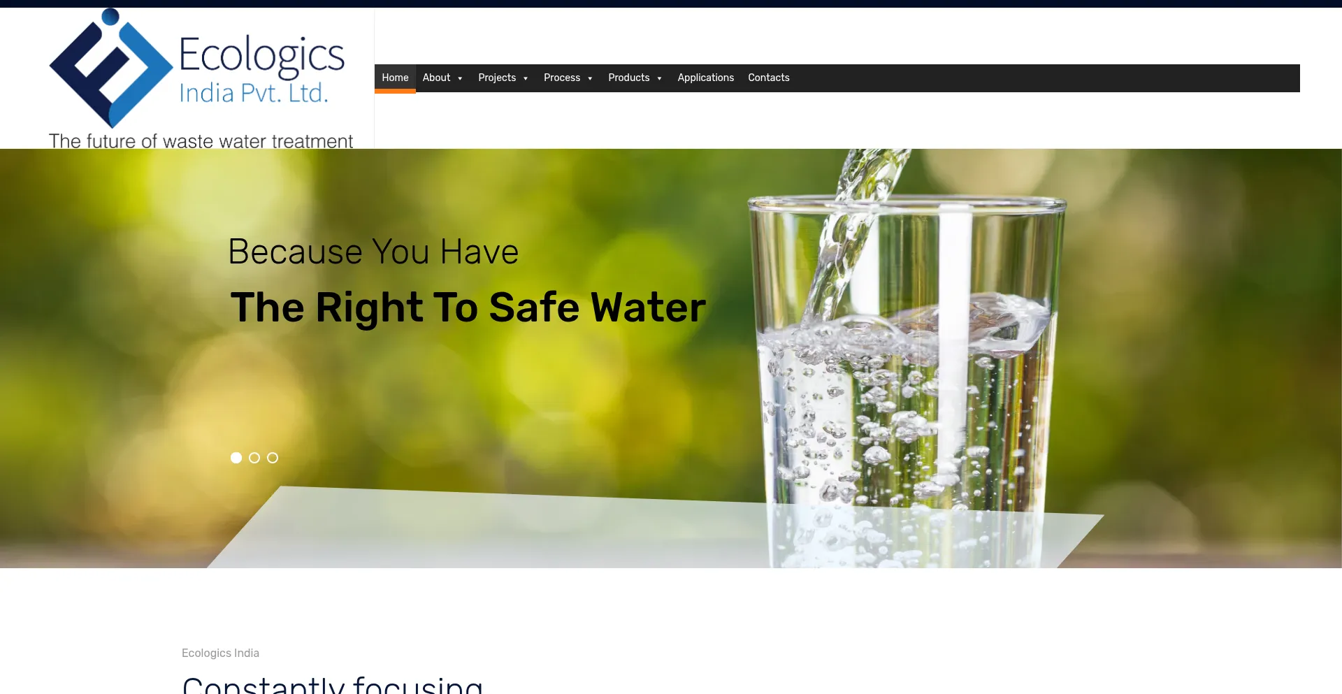 Website screenshot of Ecologicsindia.com