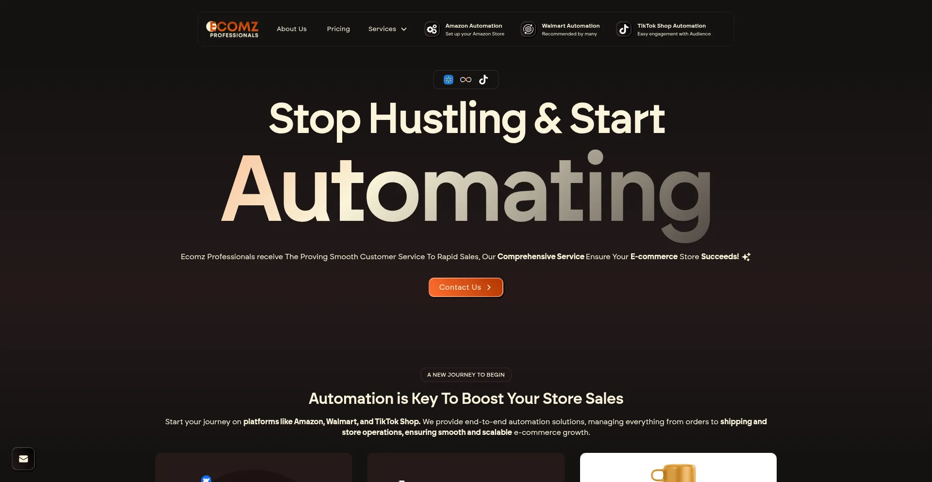 Website screenshot of Ecomzprofessionals.com