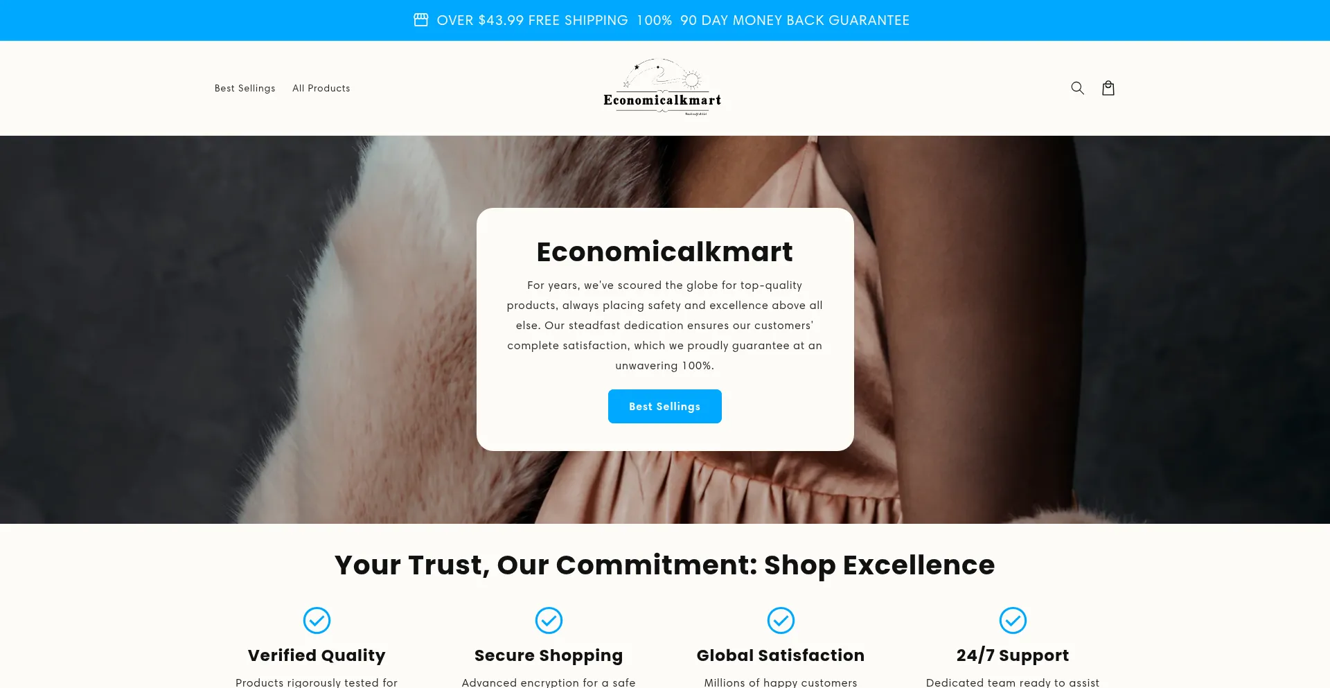 Website screenshot of Economicalkmart.com