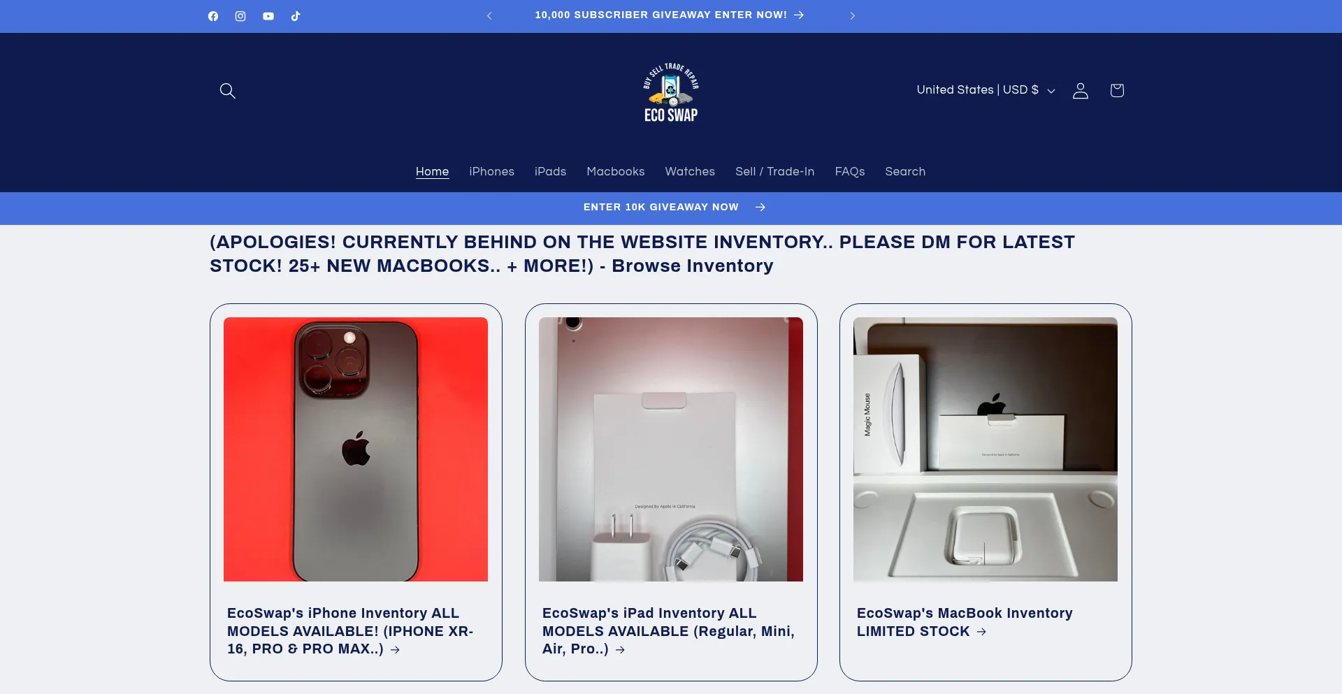 Website screenshot of Ecoswap.us