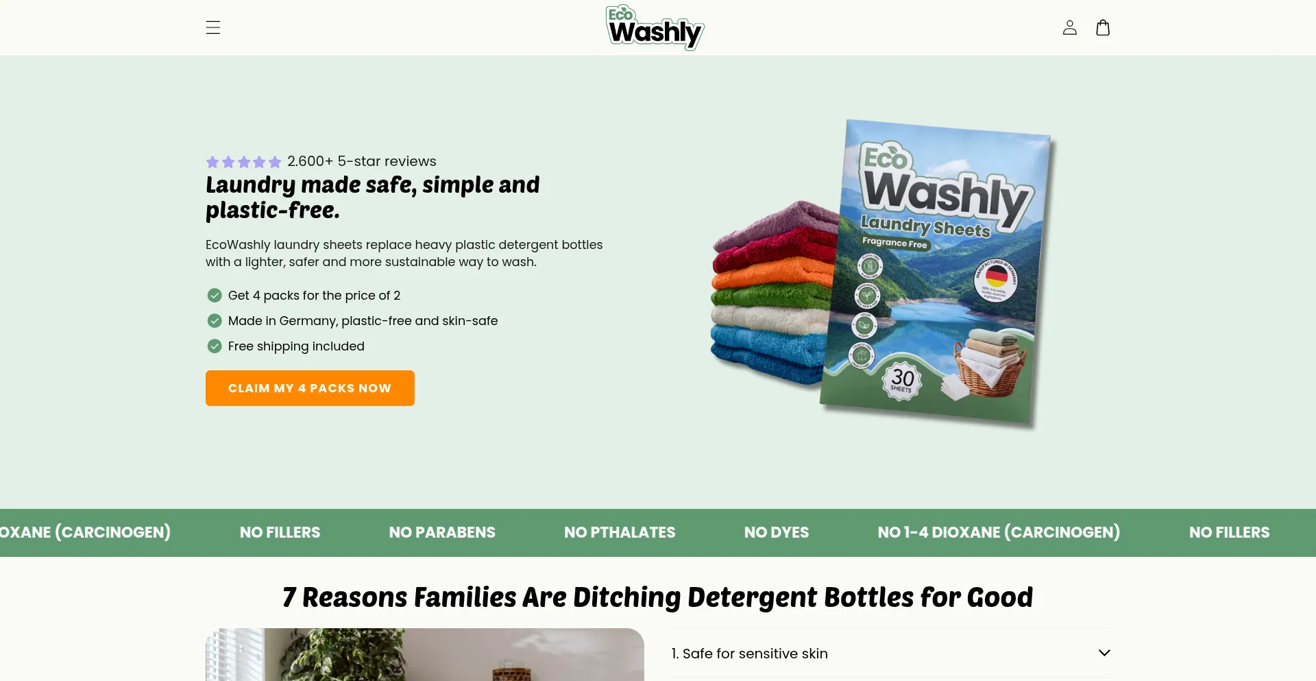 Website screenshot of Ecowashly.com
