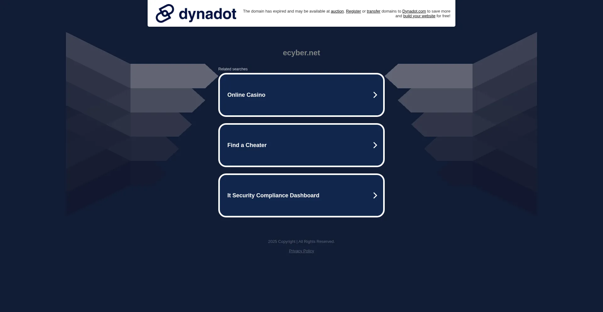 Website screenshot of Ecyber.net