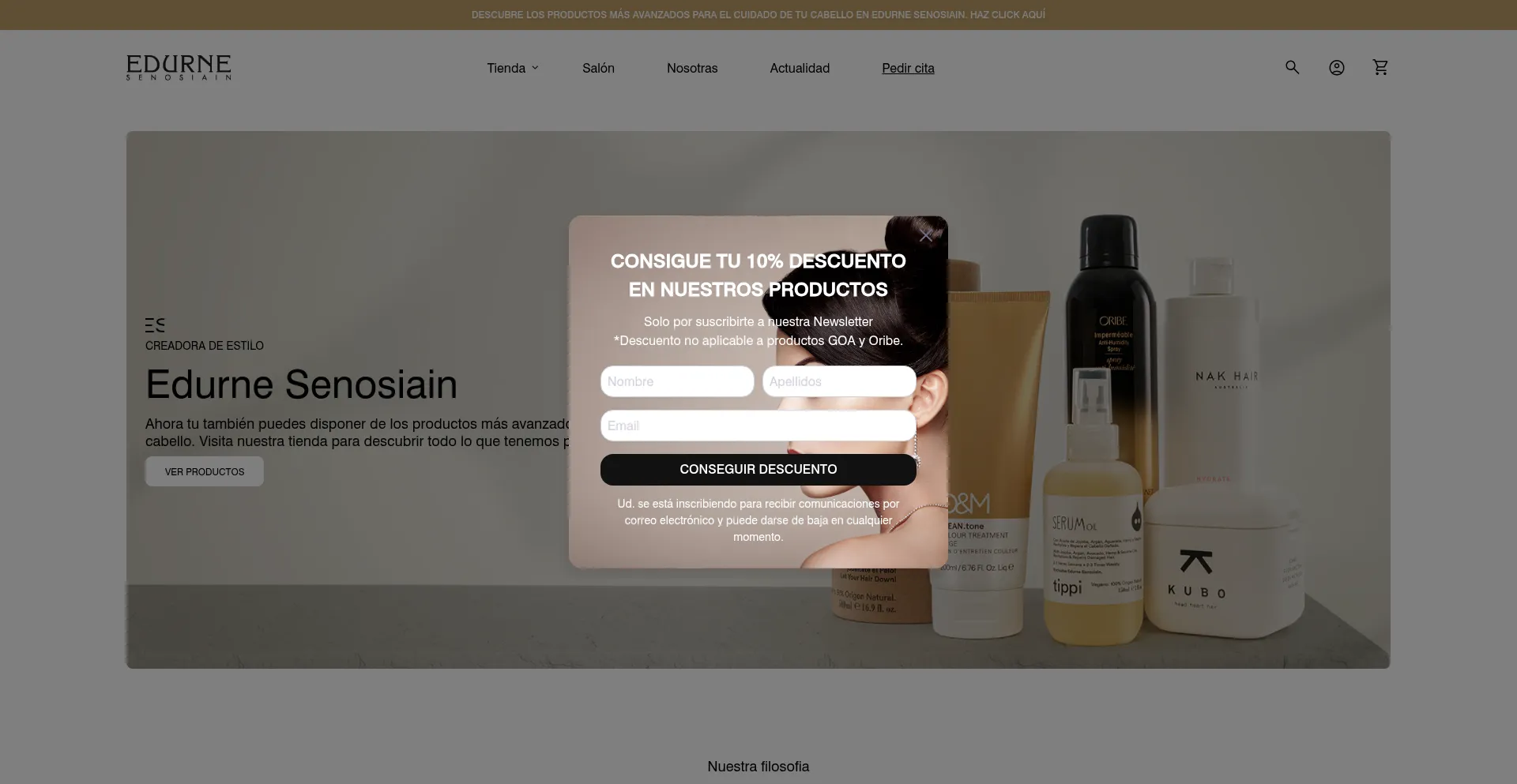 Website screenshot of Edurnesenosiain.com