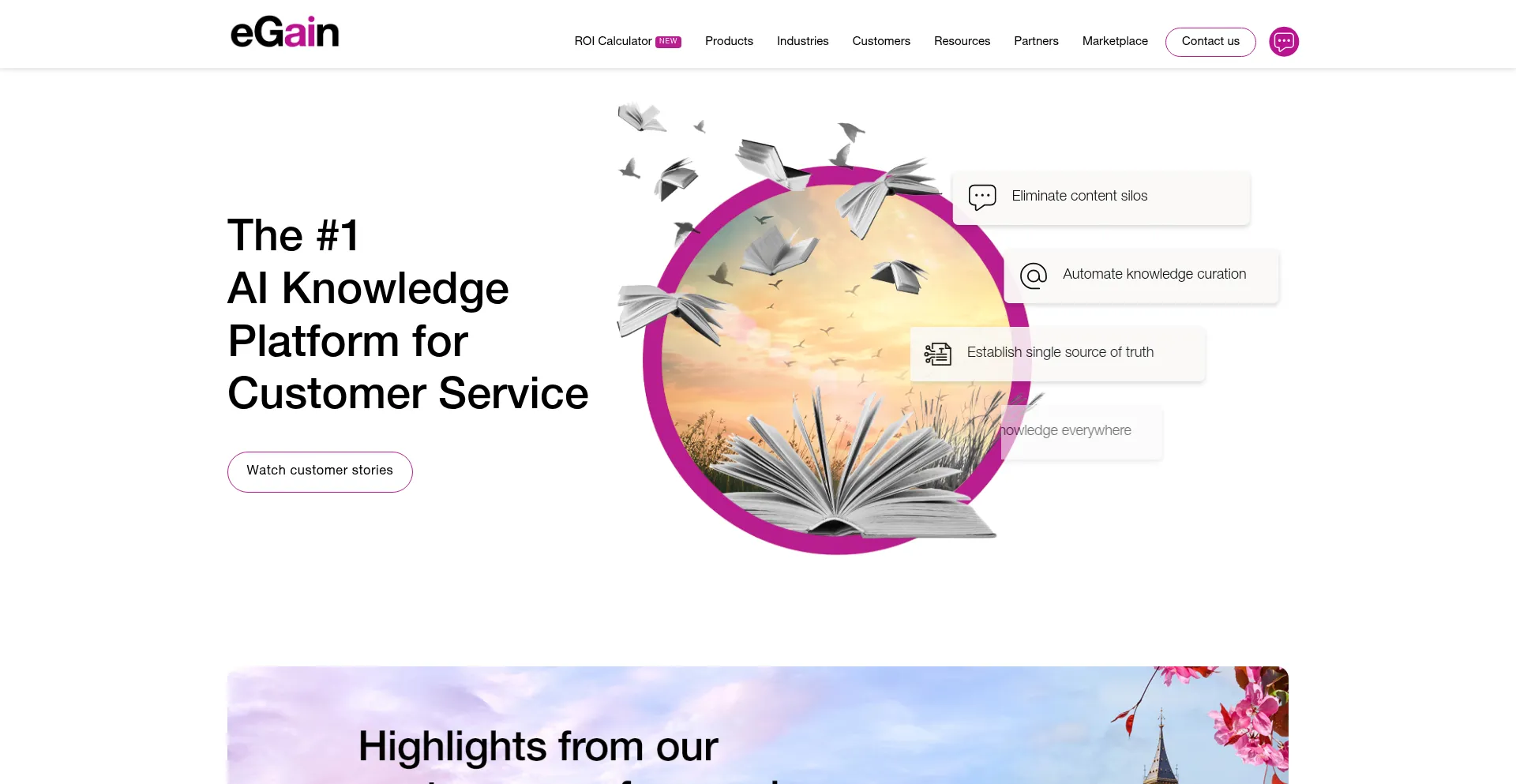 Website screenshot of Egain.com