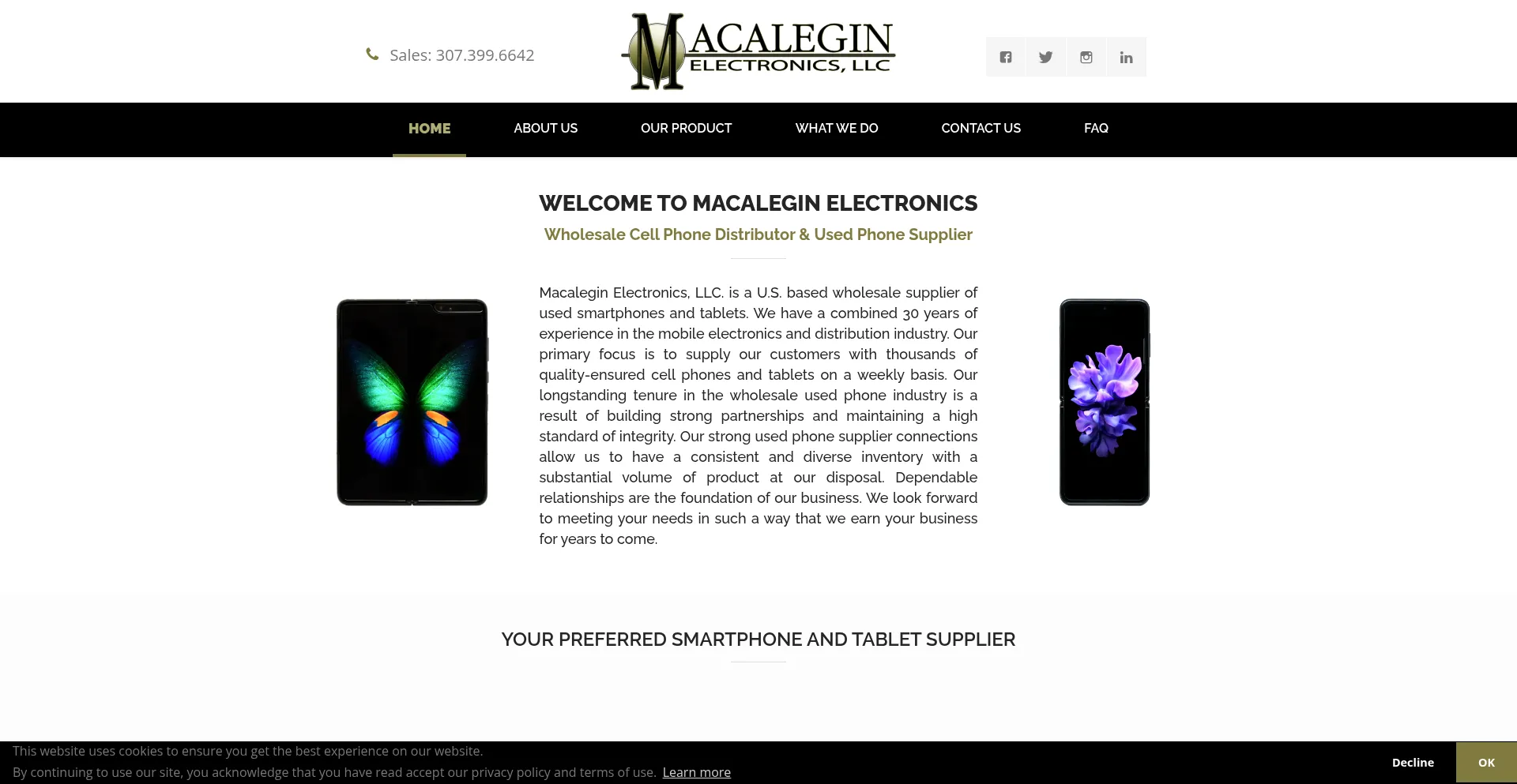 Website screenshot of Eginelectronicsmacal.com