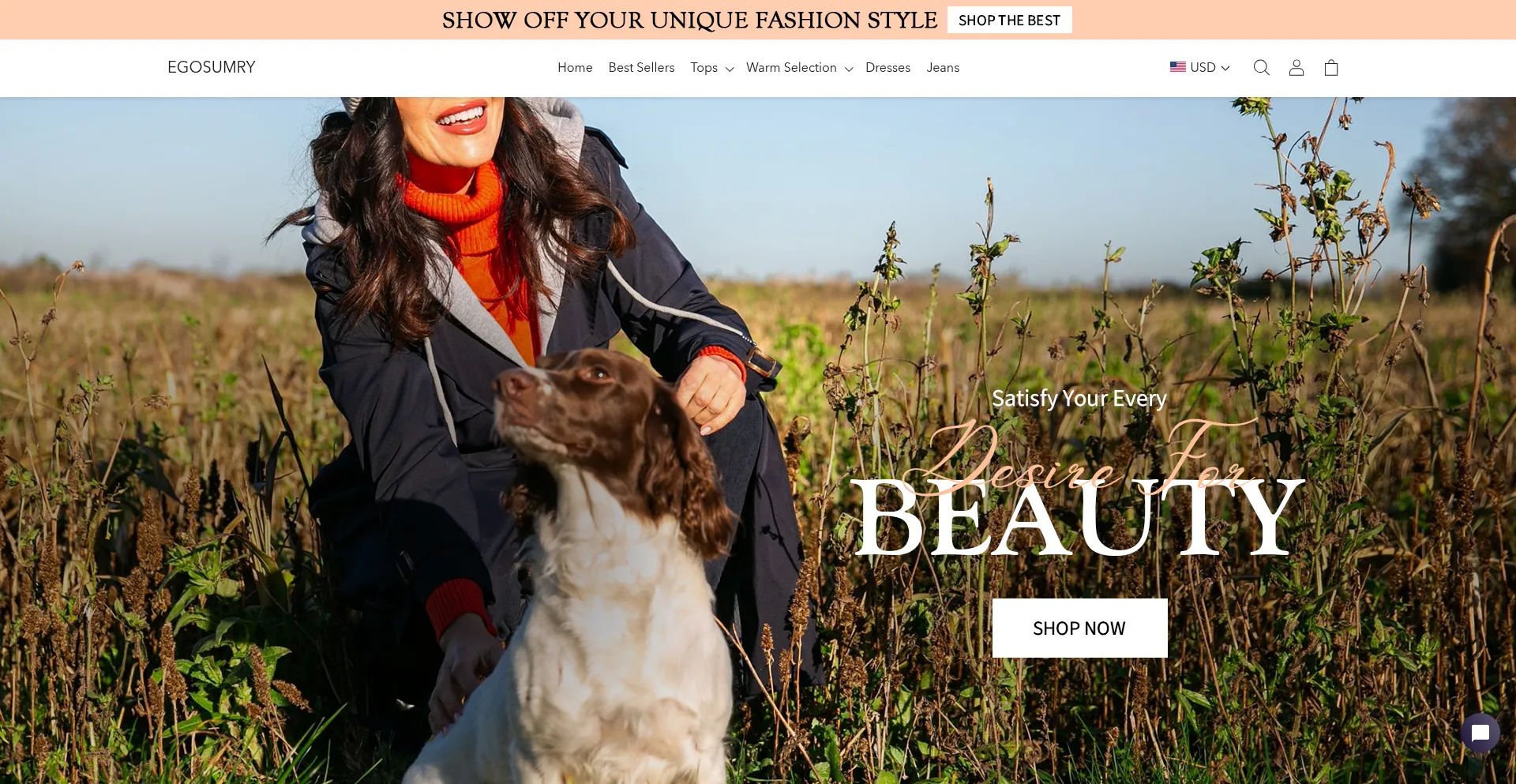 Website screenshot of Egosumry.com