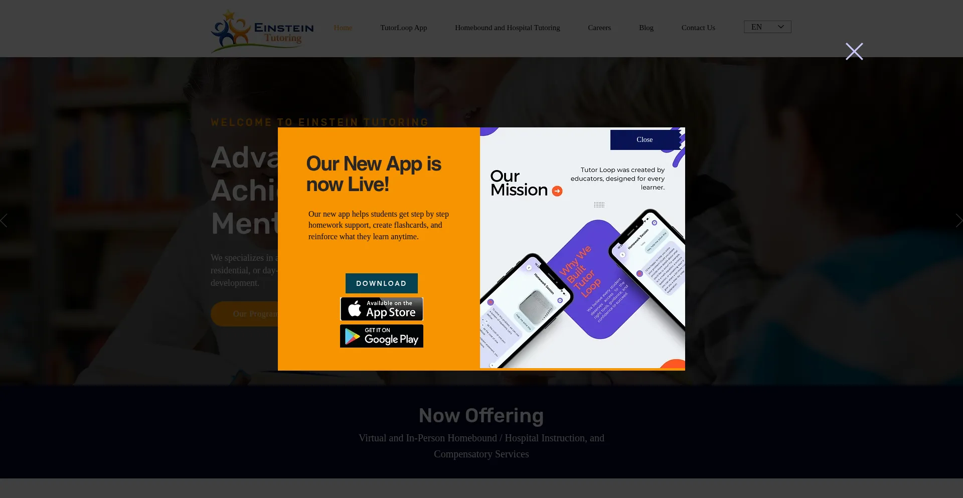 Einsteintutoring1on1.com