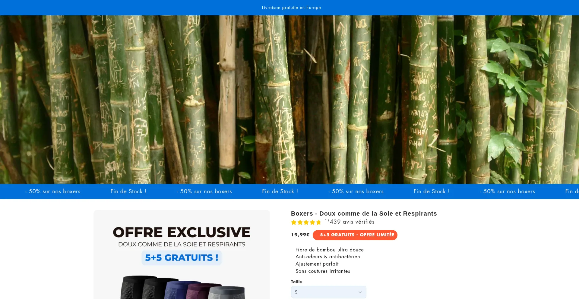 Website screenshot of Ekoliseau.com
