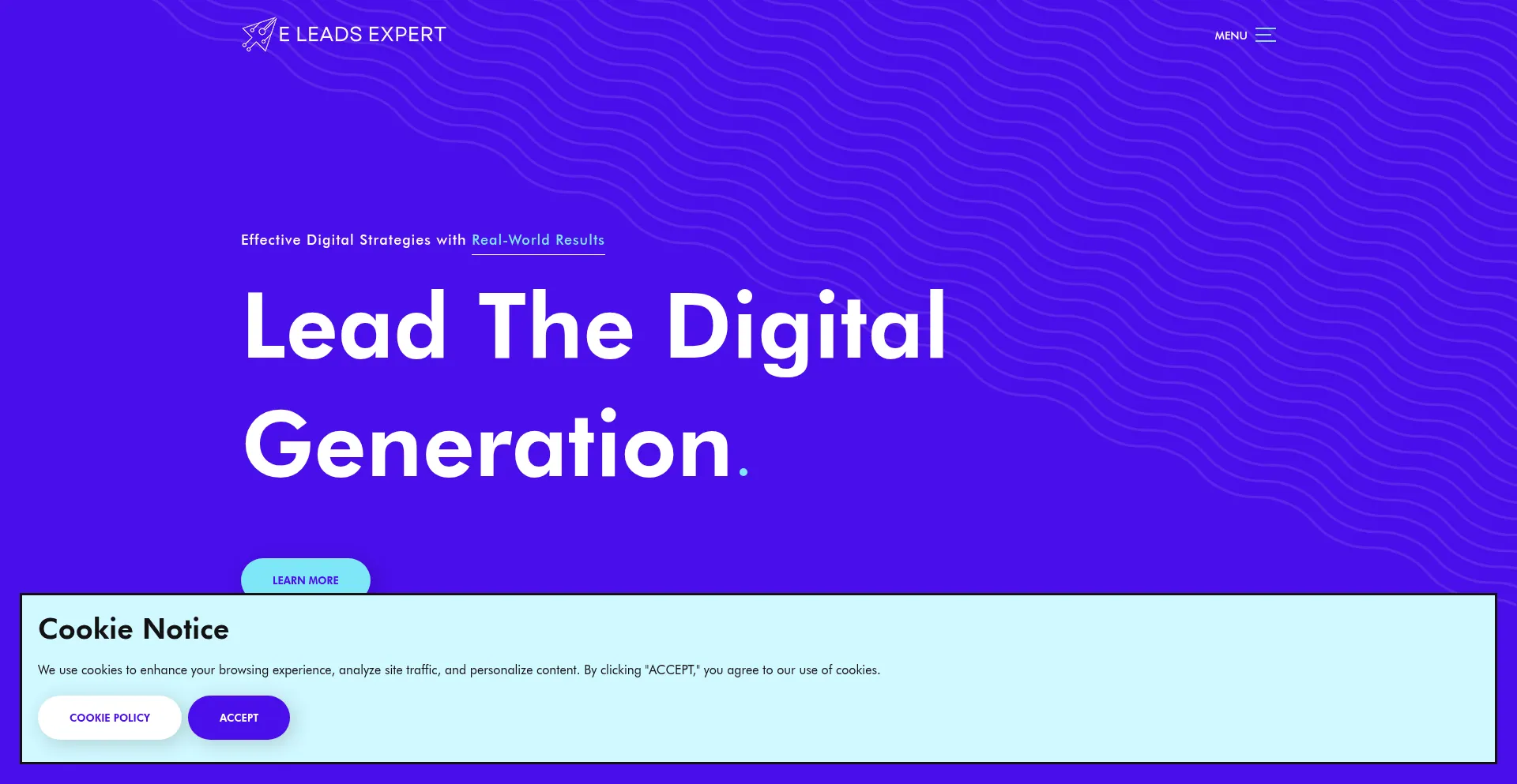 Website screenshot of Eleadsexpert.com