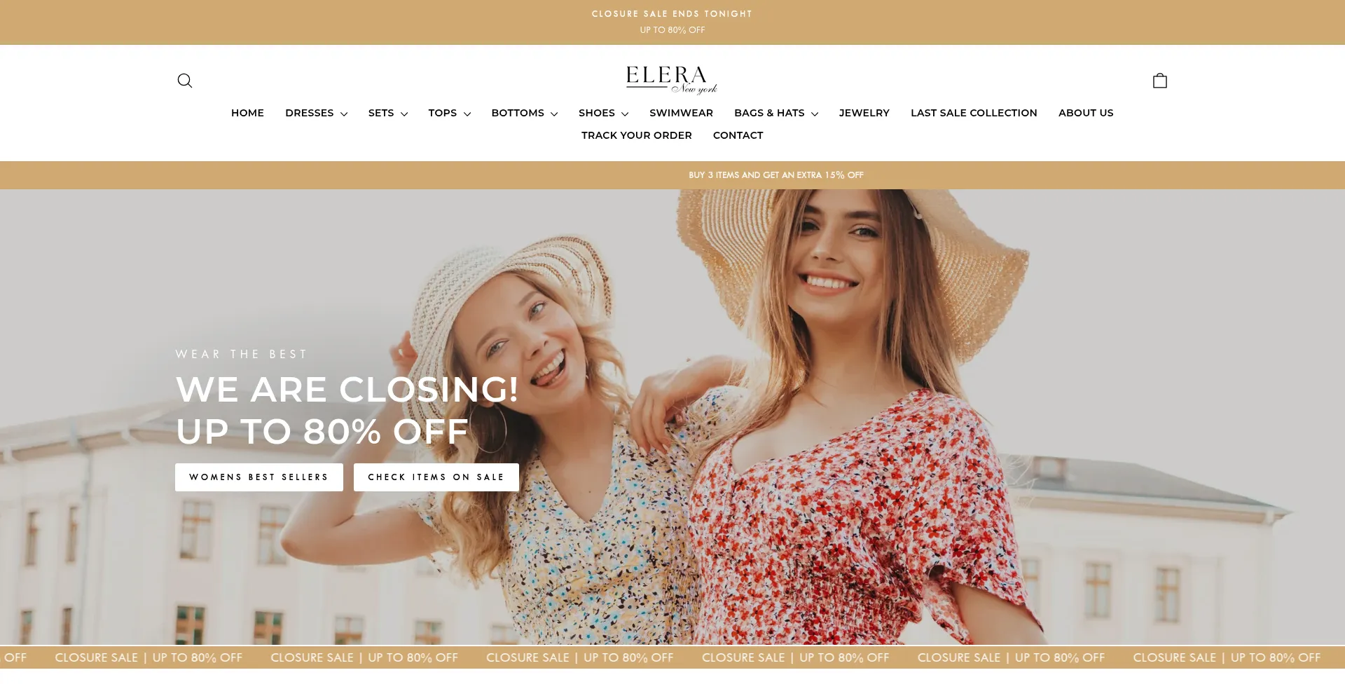 Website screenshot of Elera-newyork.com