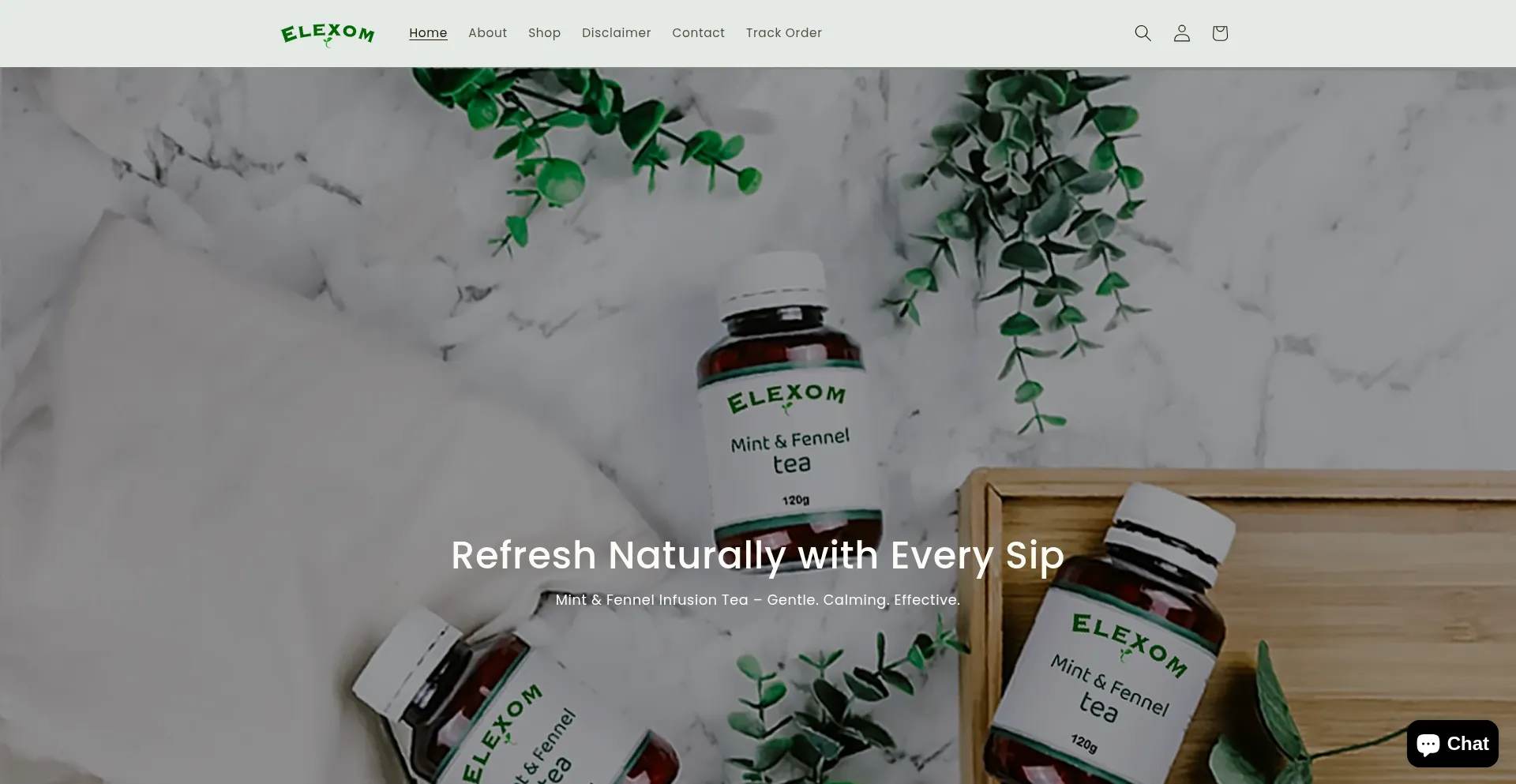 Website screenshot of Elexom.com