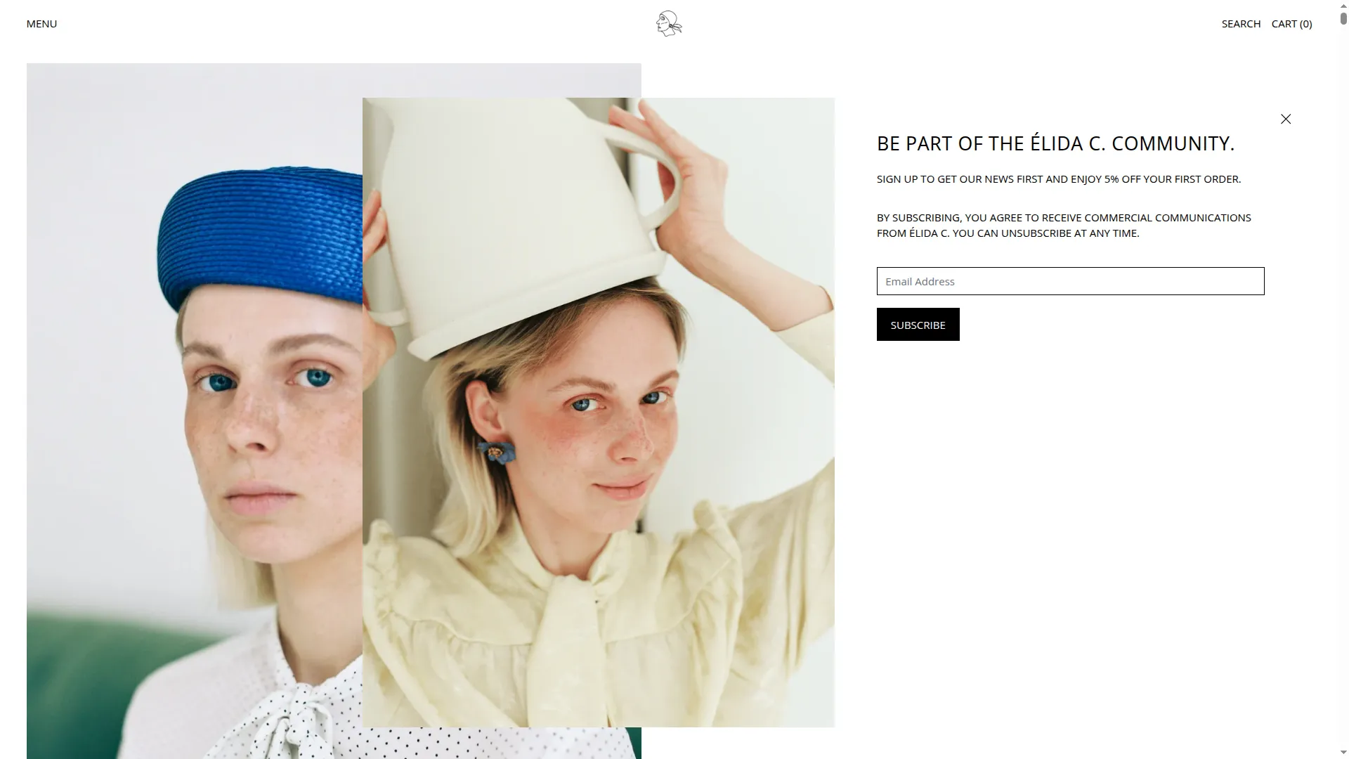 Elidac.com