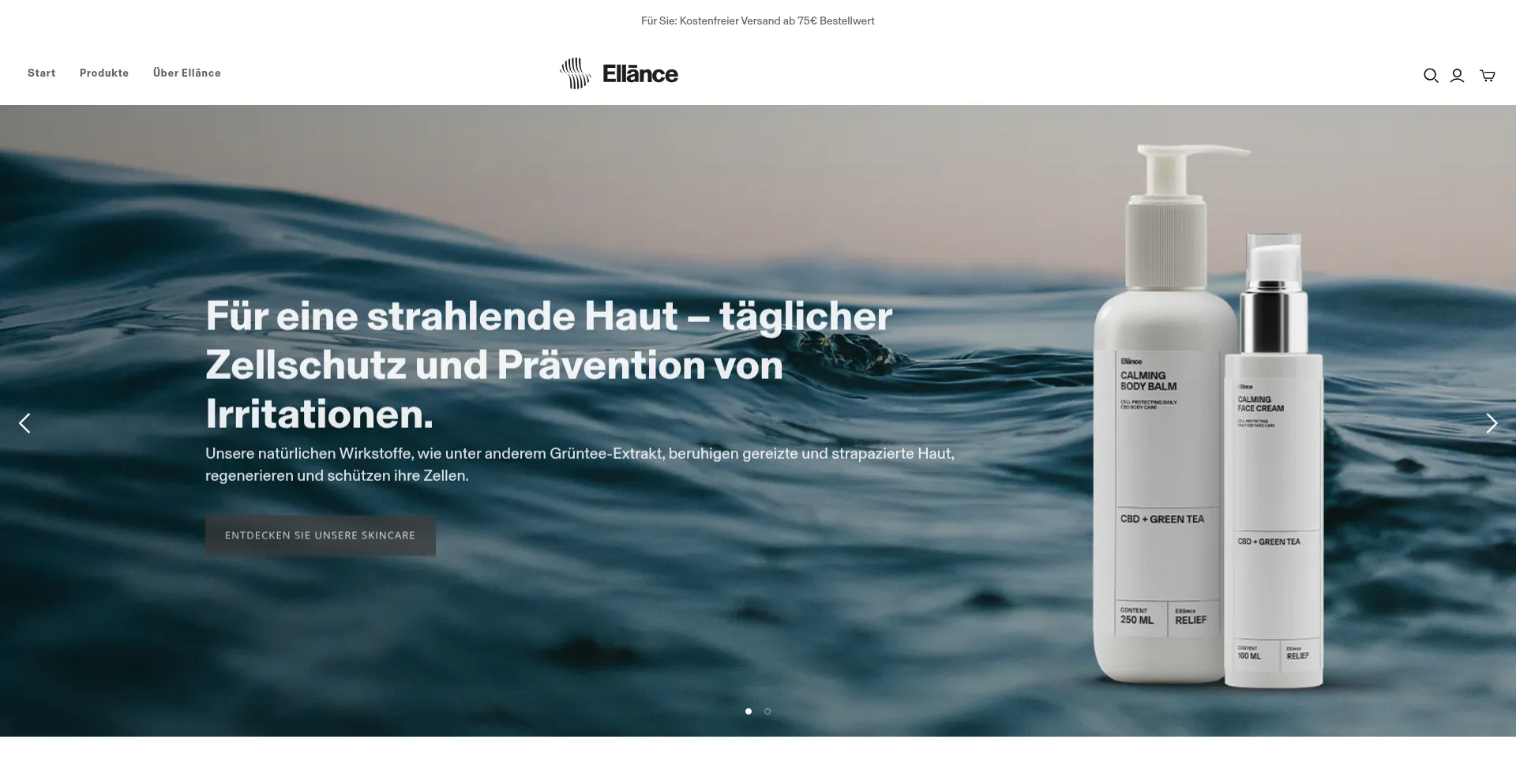 Website screenshot of Ellance.ch