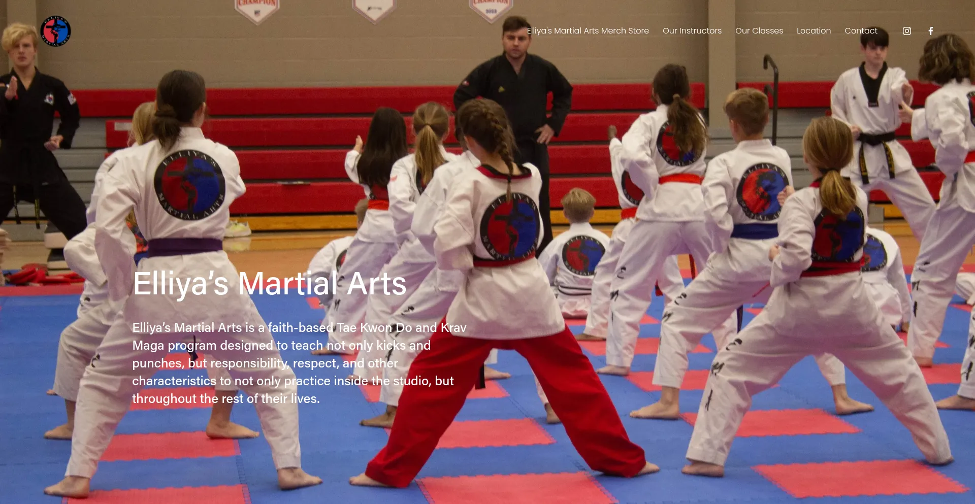 Elliyasmartialarts.com Screenshot