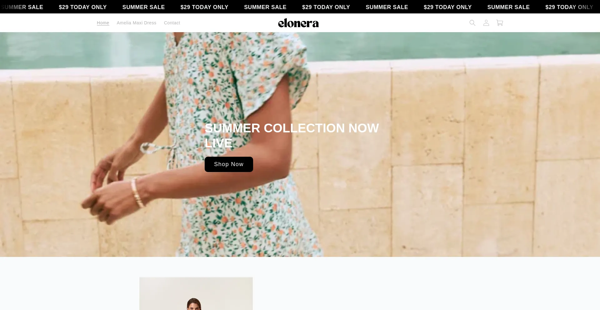 Website screenshot of Elonera.shop