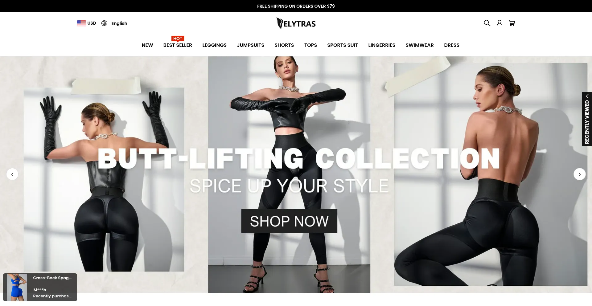 Website screenshot of Elytras.com