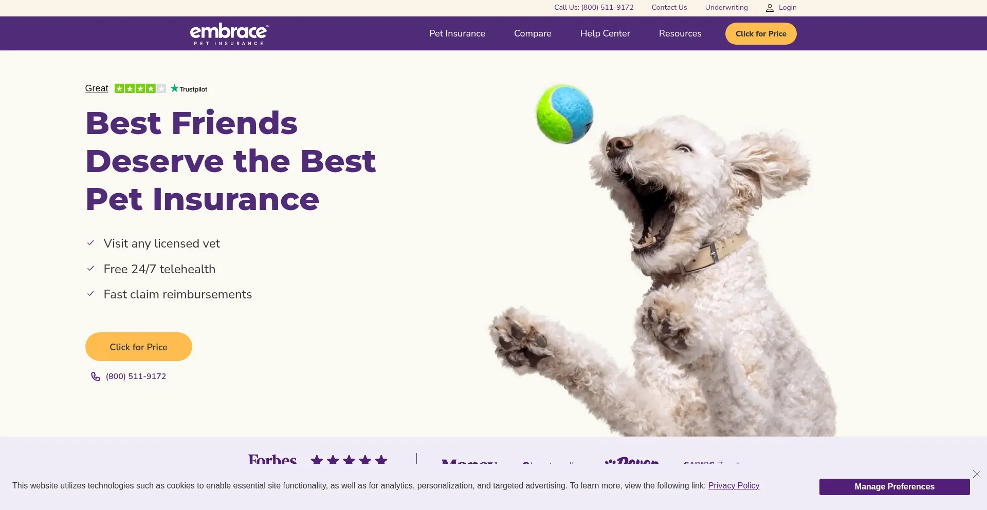 Embracepetinsurance.com Screenshot