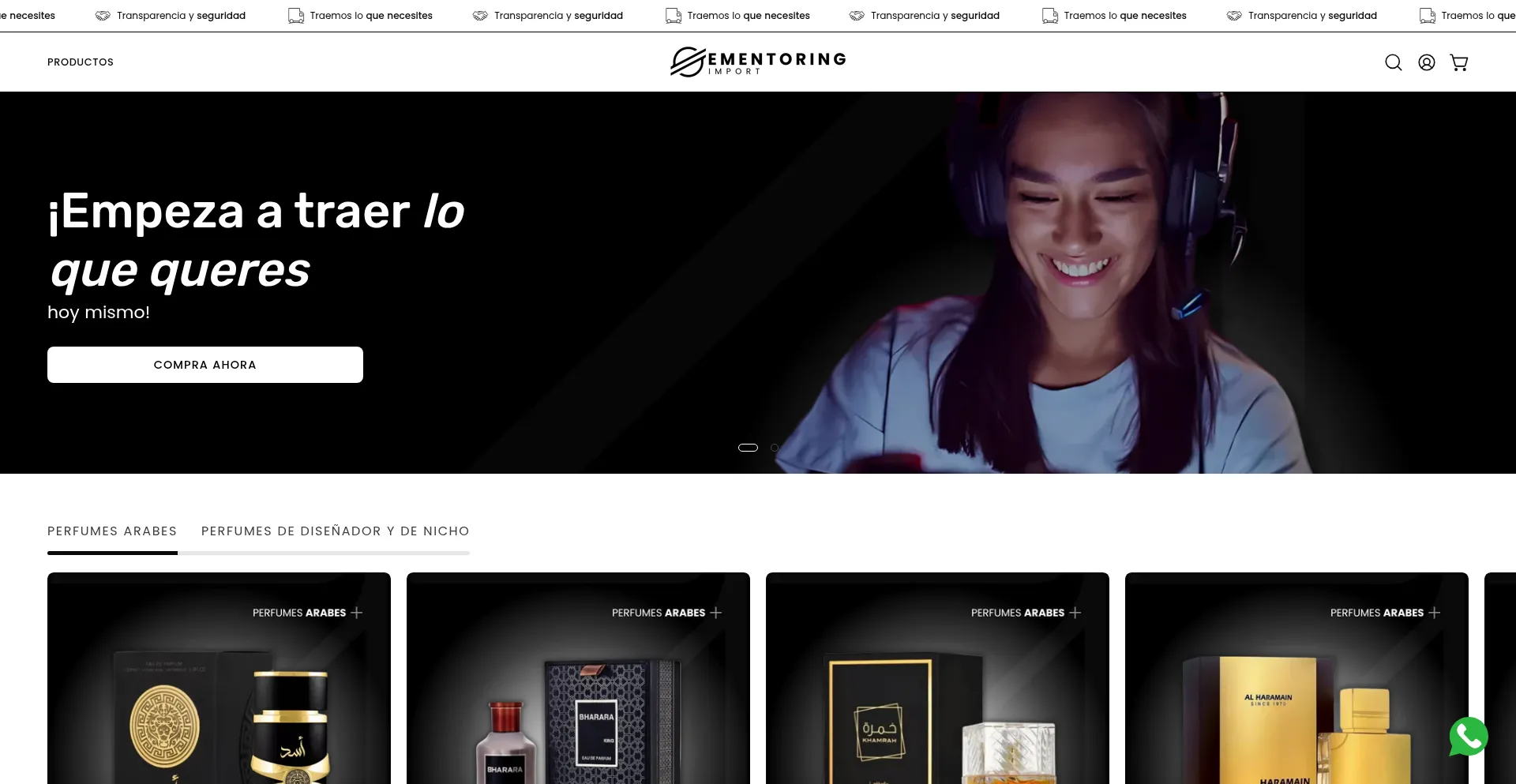 Website screenshot of Ementoringimport.com